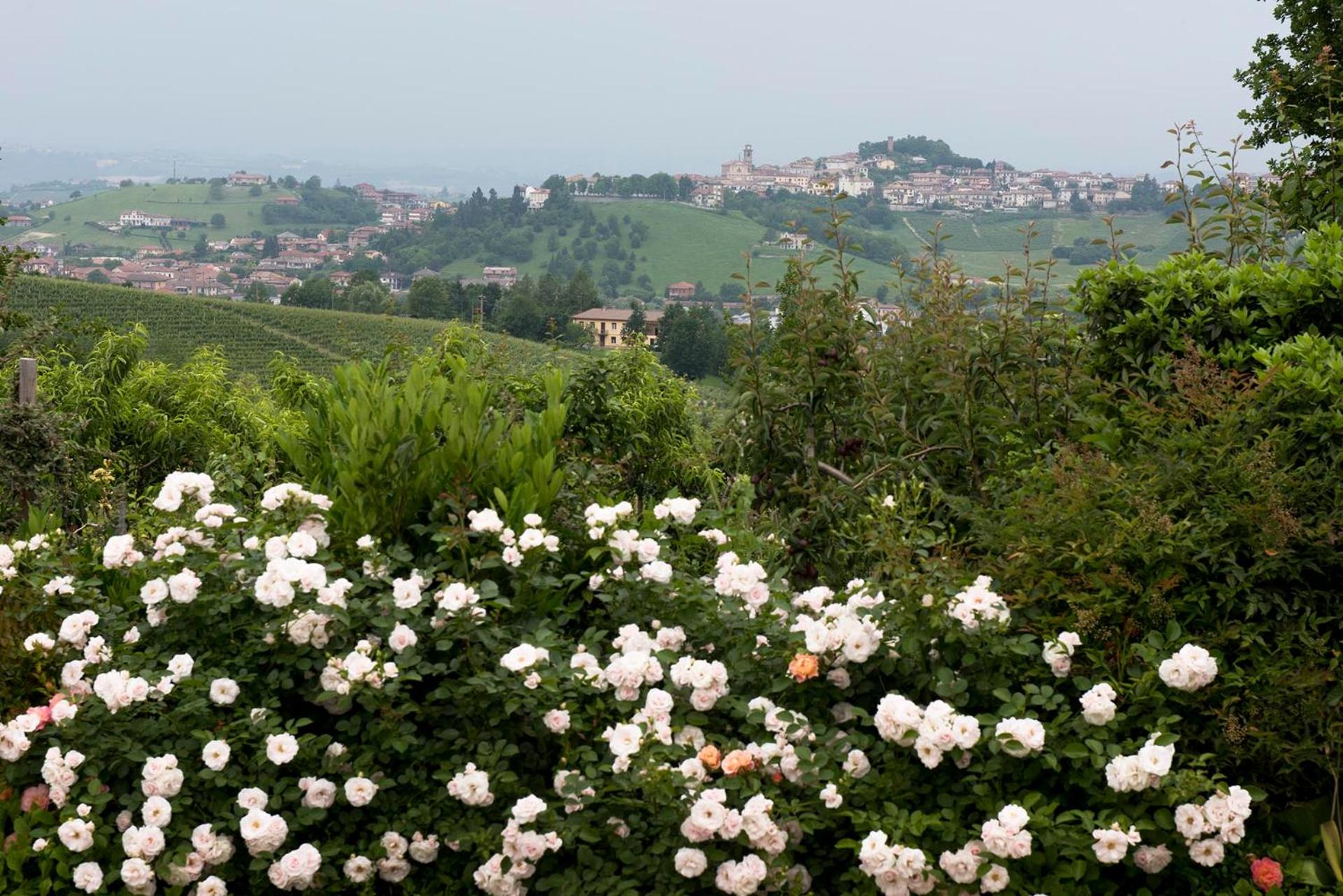 Carossi B&B