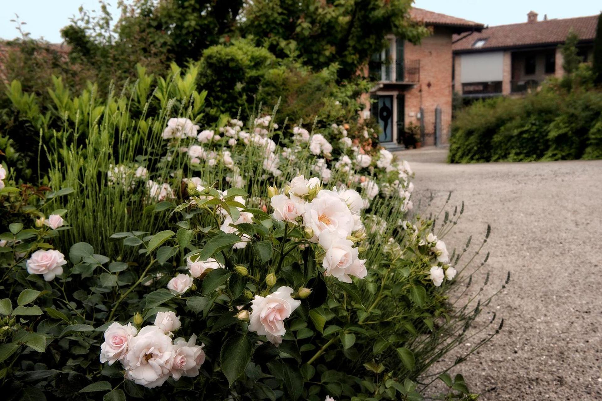 Carossi B&B