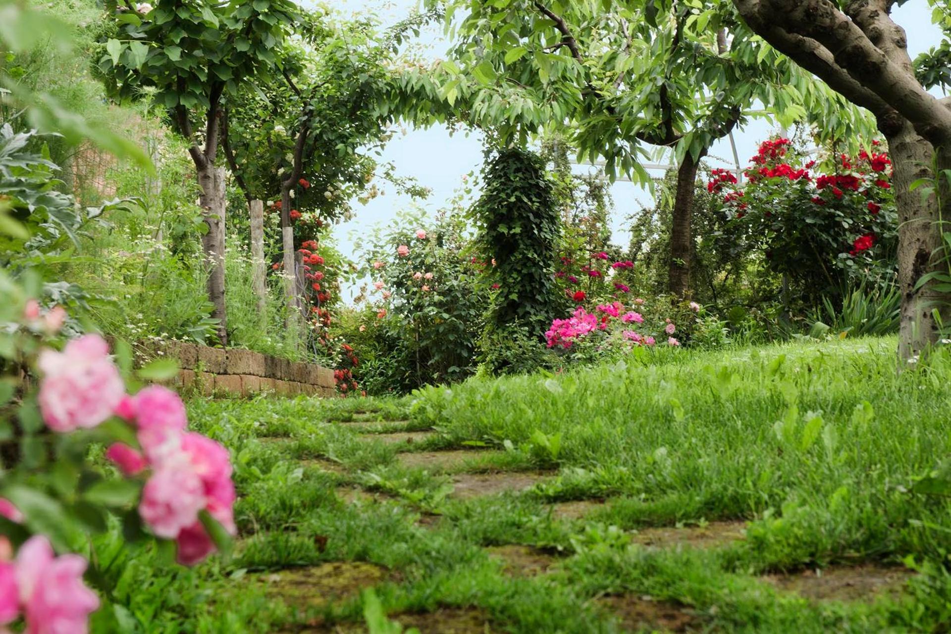 Carossi B&B