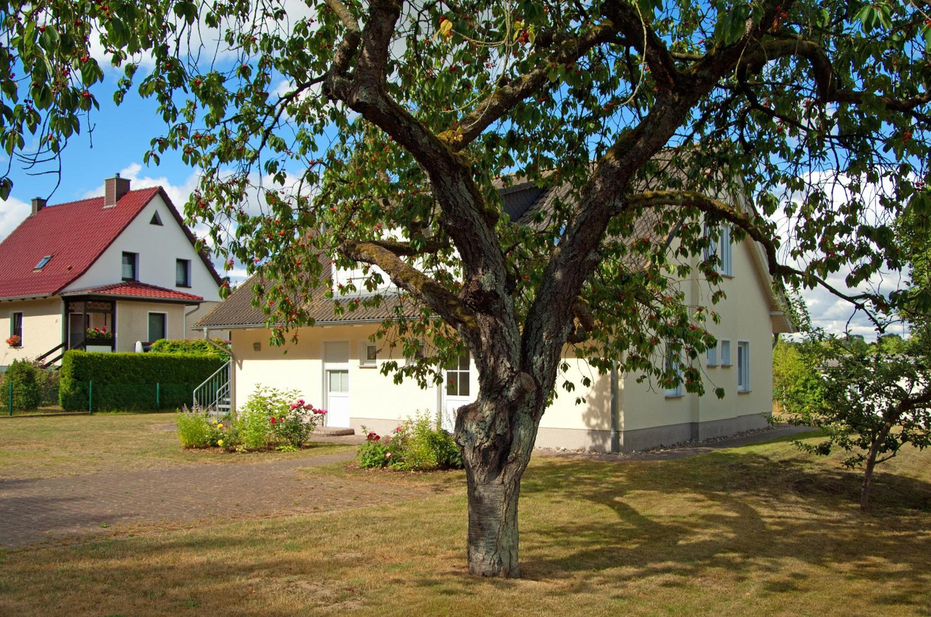 Photo 39