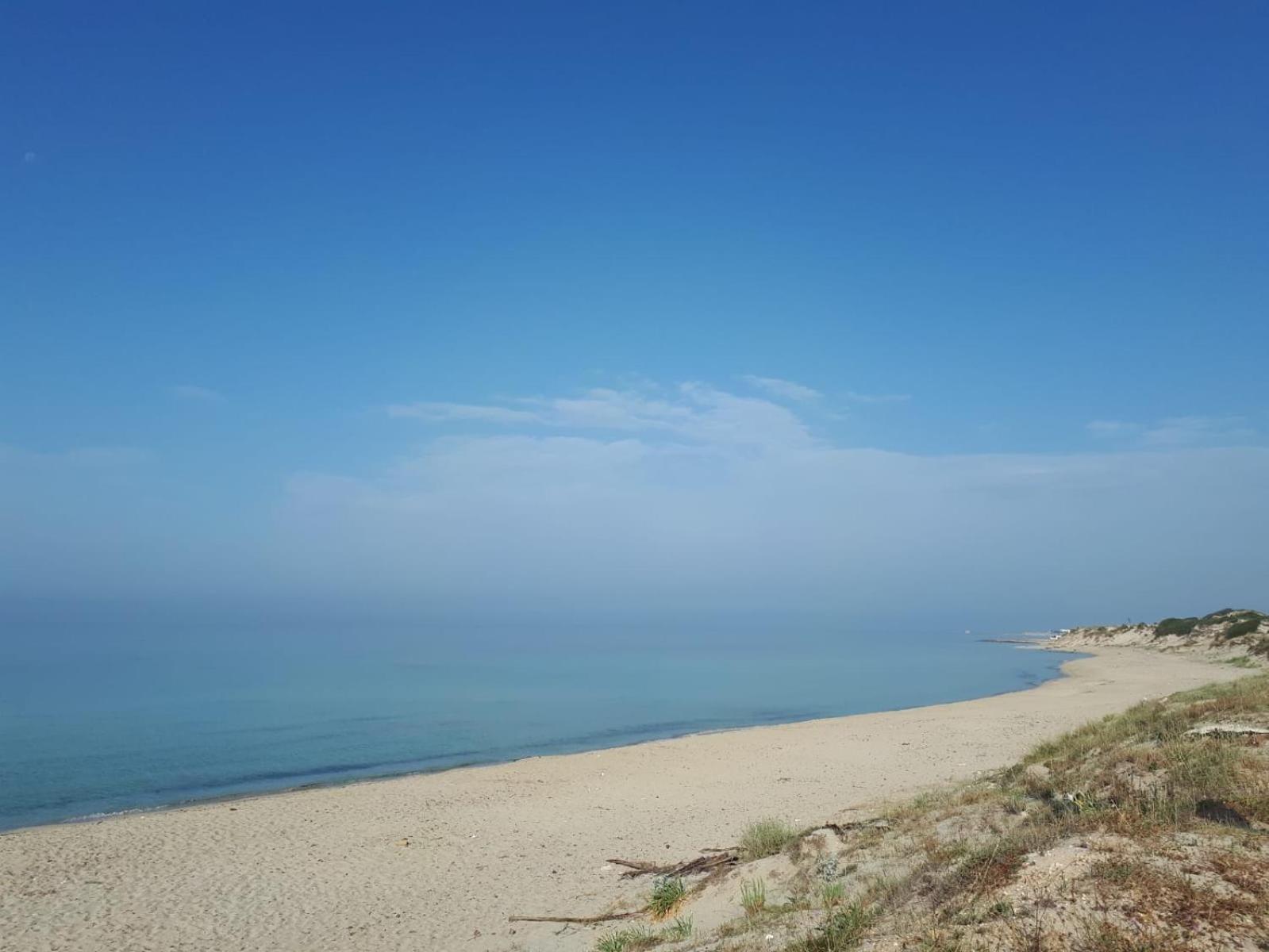 Photo 42