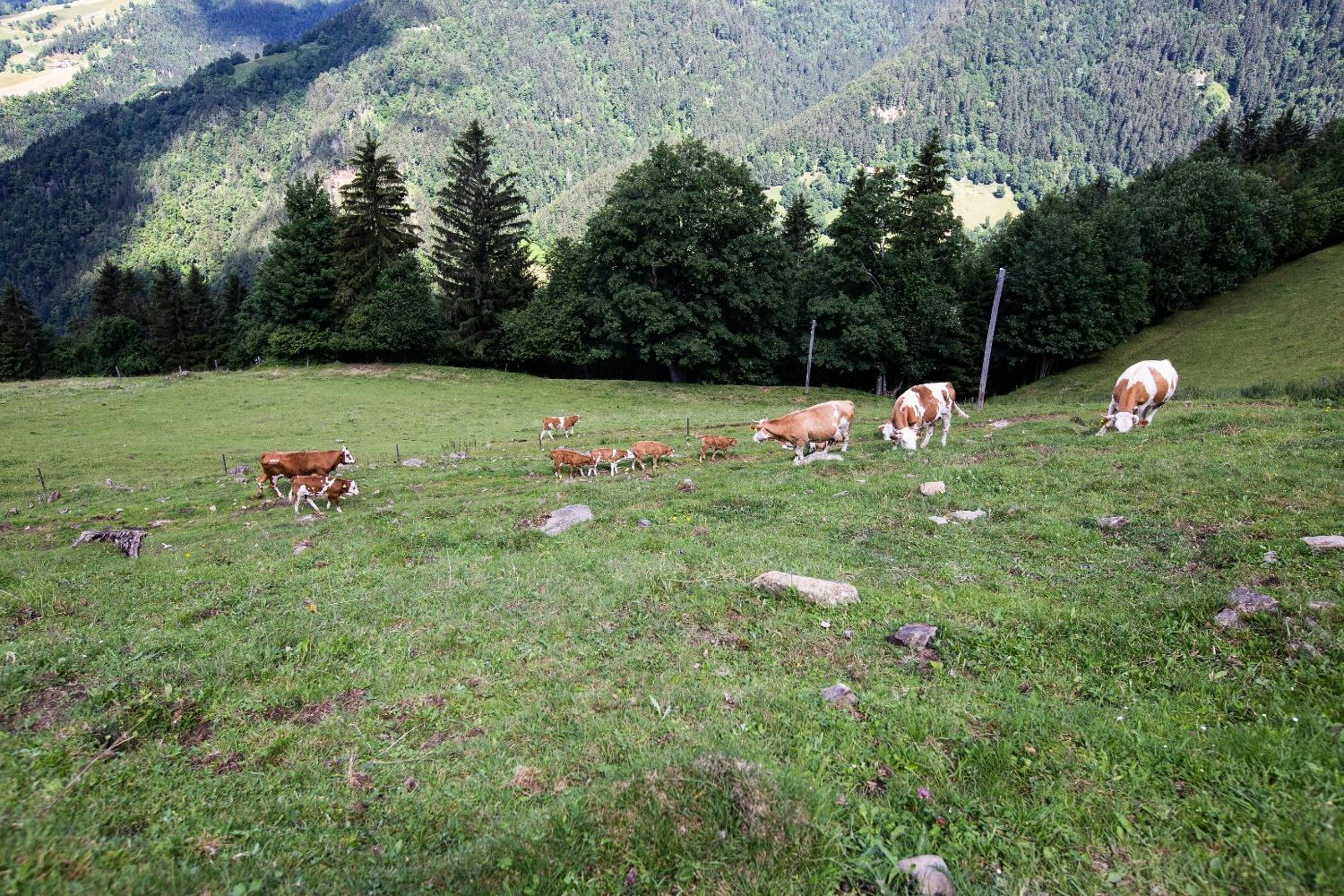 Photo 47