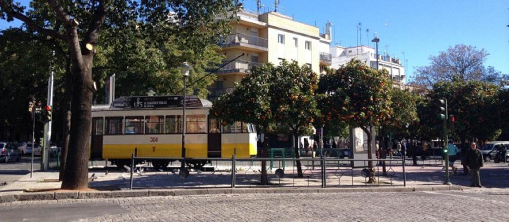 Triana Leon Sanz view 3