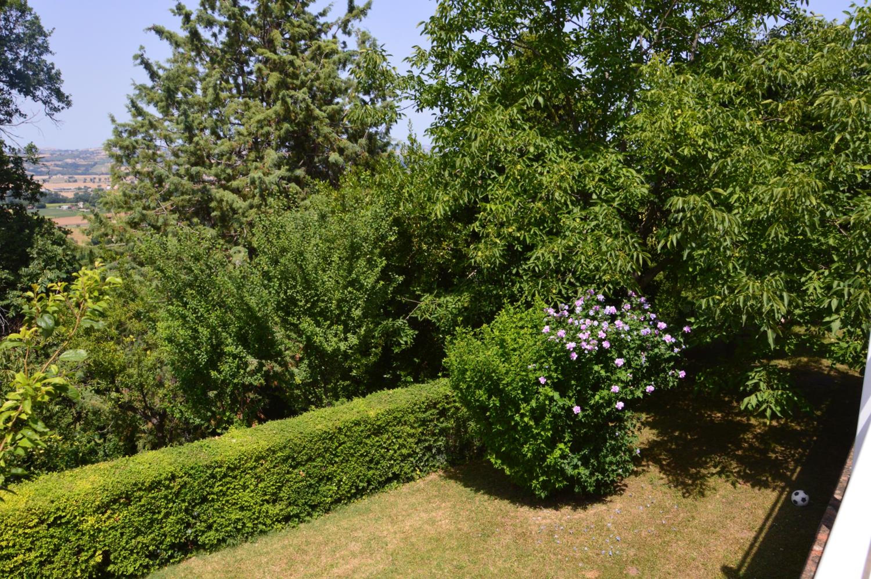 Photo 46