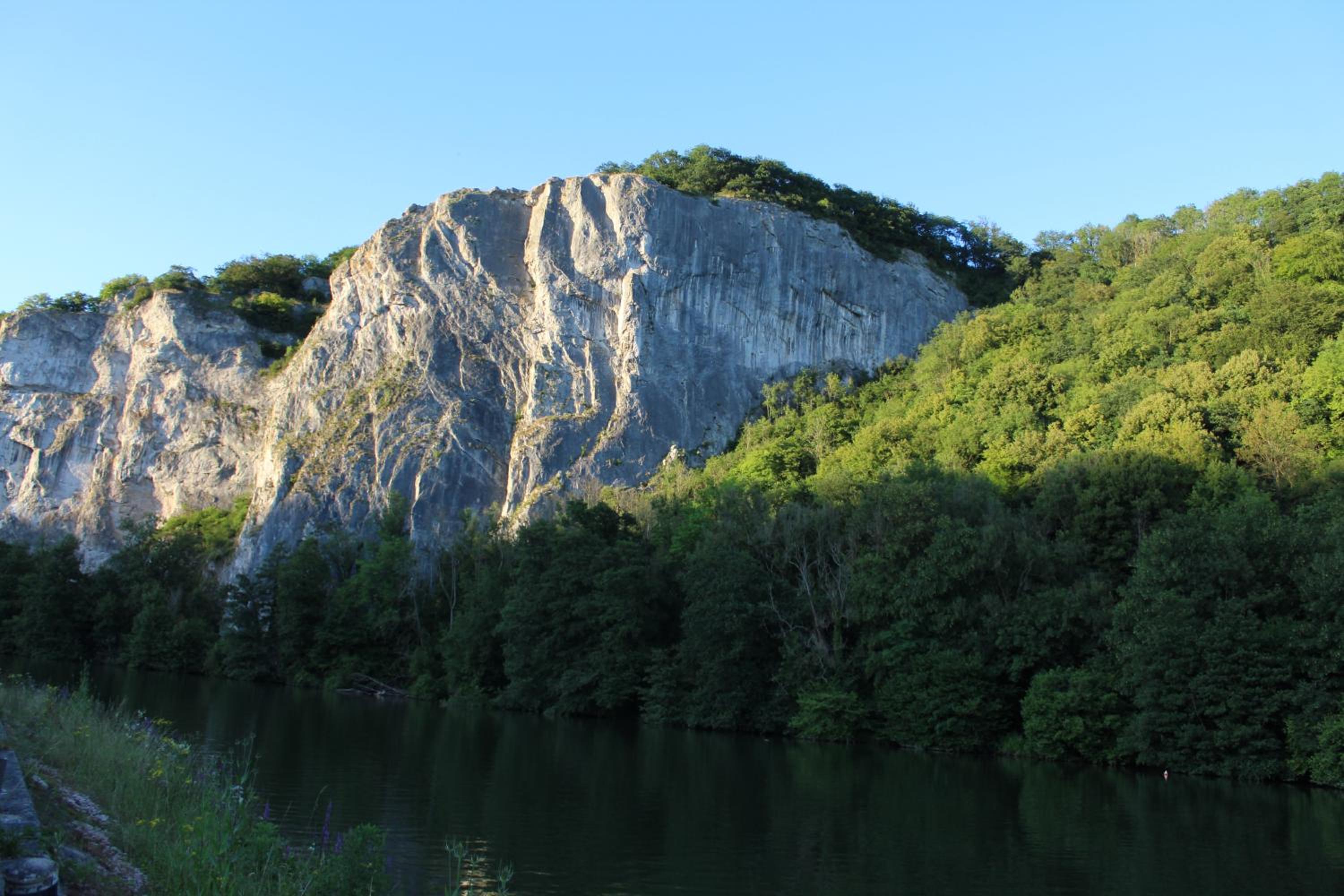 Au bois charmant