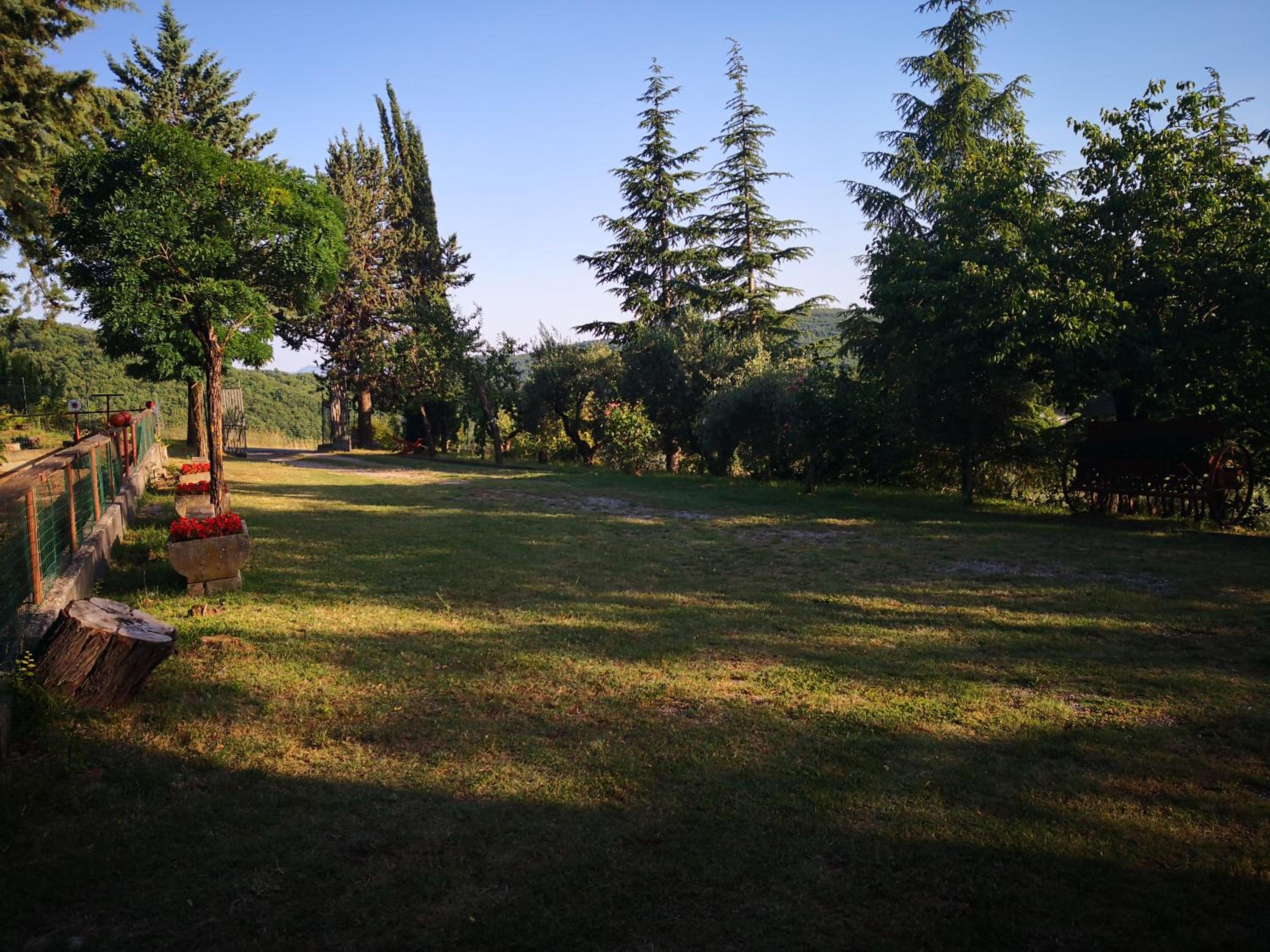 Photo 54