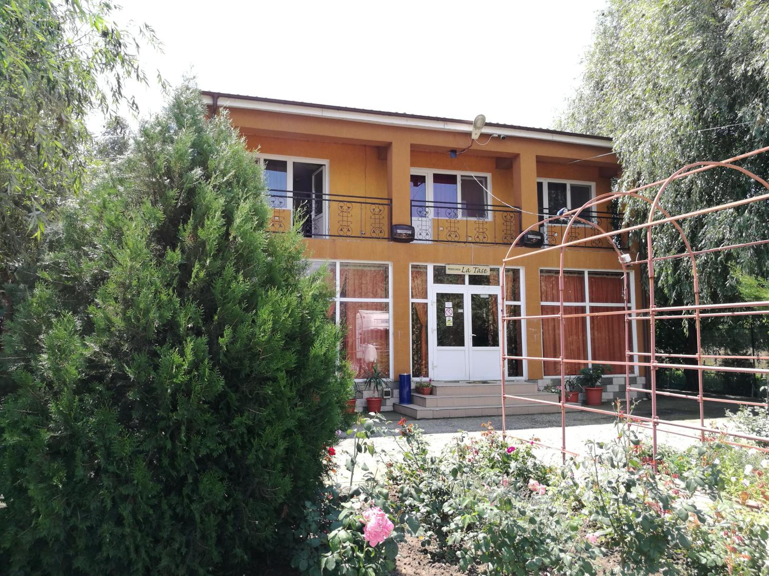 Photo 11