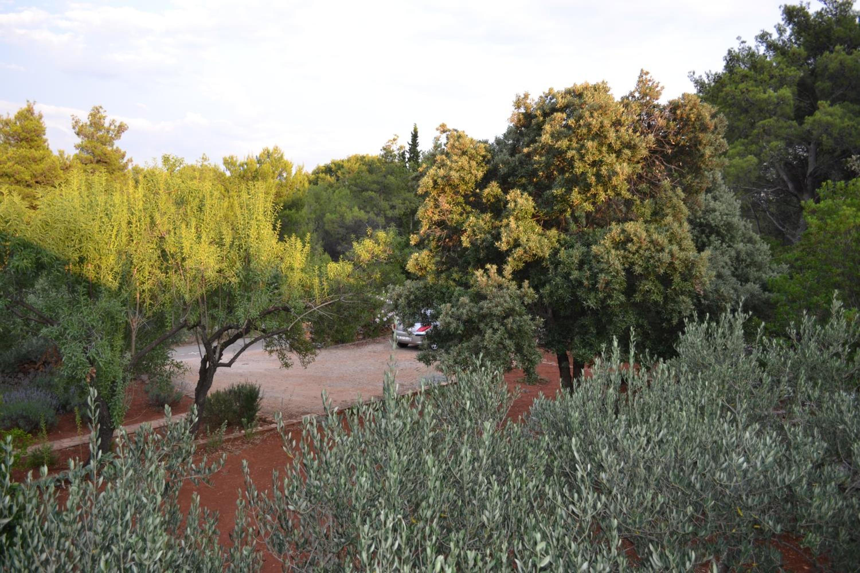 Photo 35