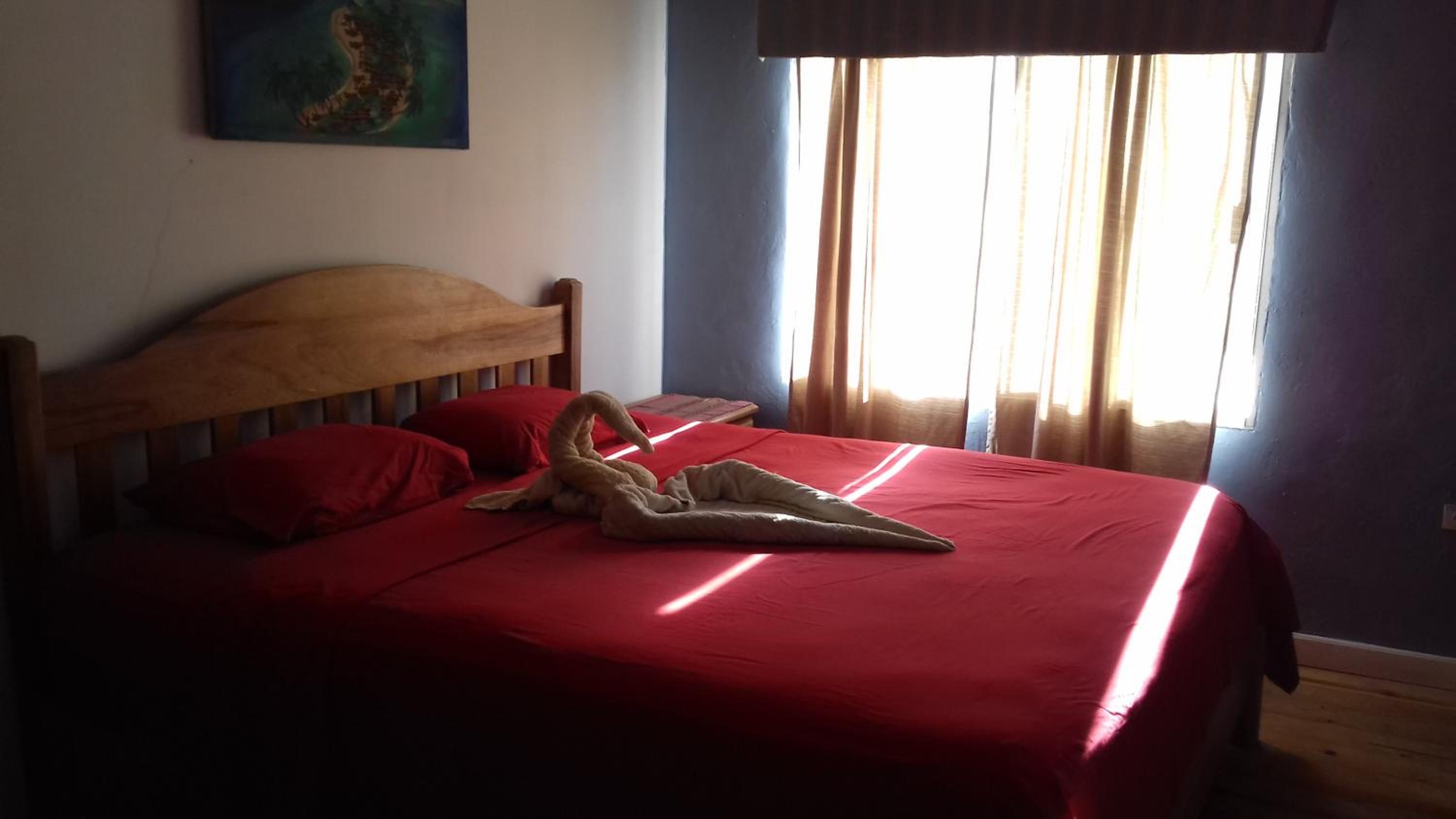 Photo 34