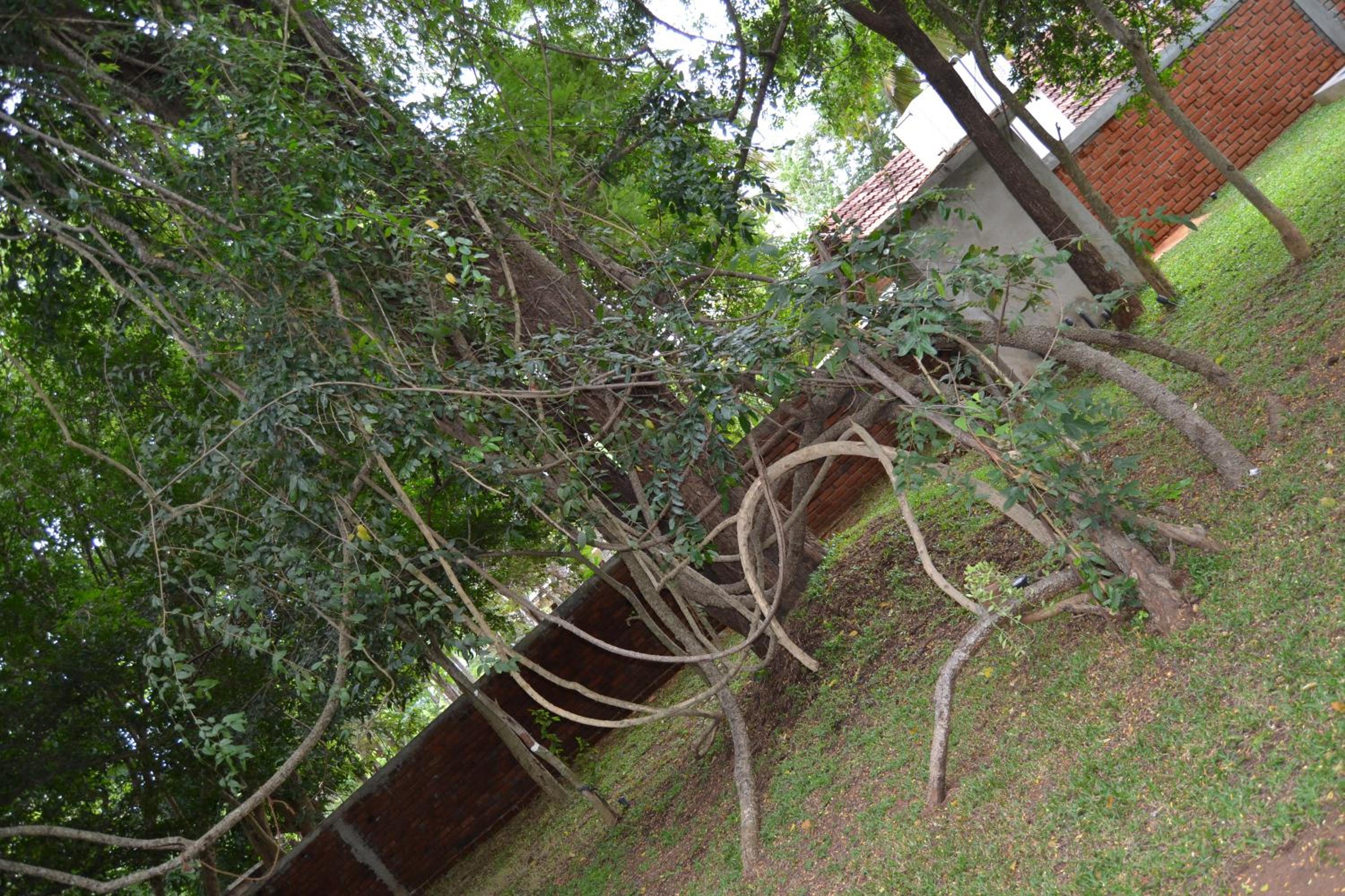 Photo 47