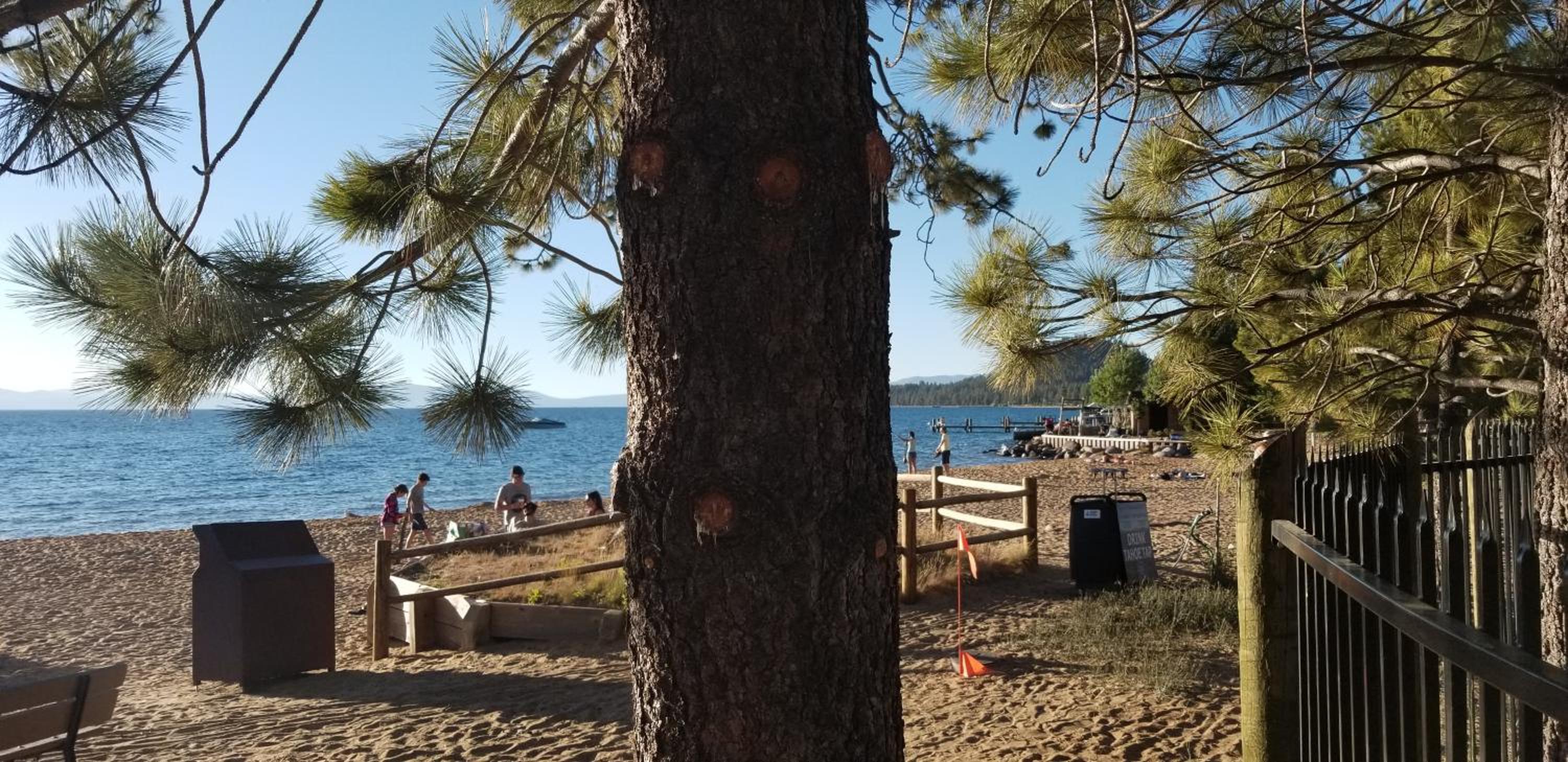 Gondola Lodge with 5-dollar Beach Voucher