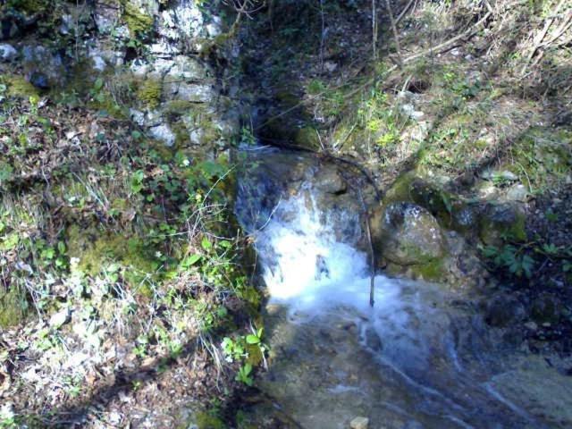 Photo 31