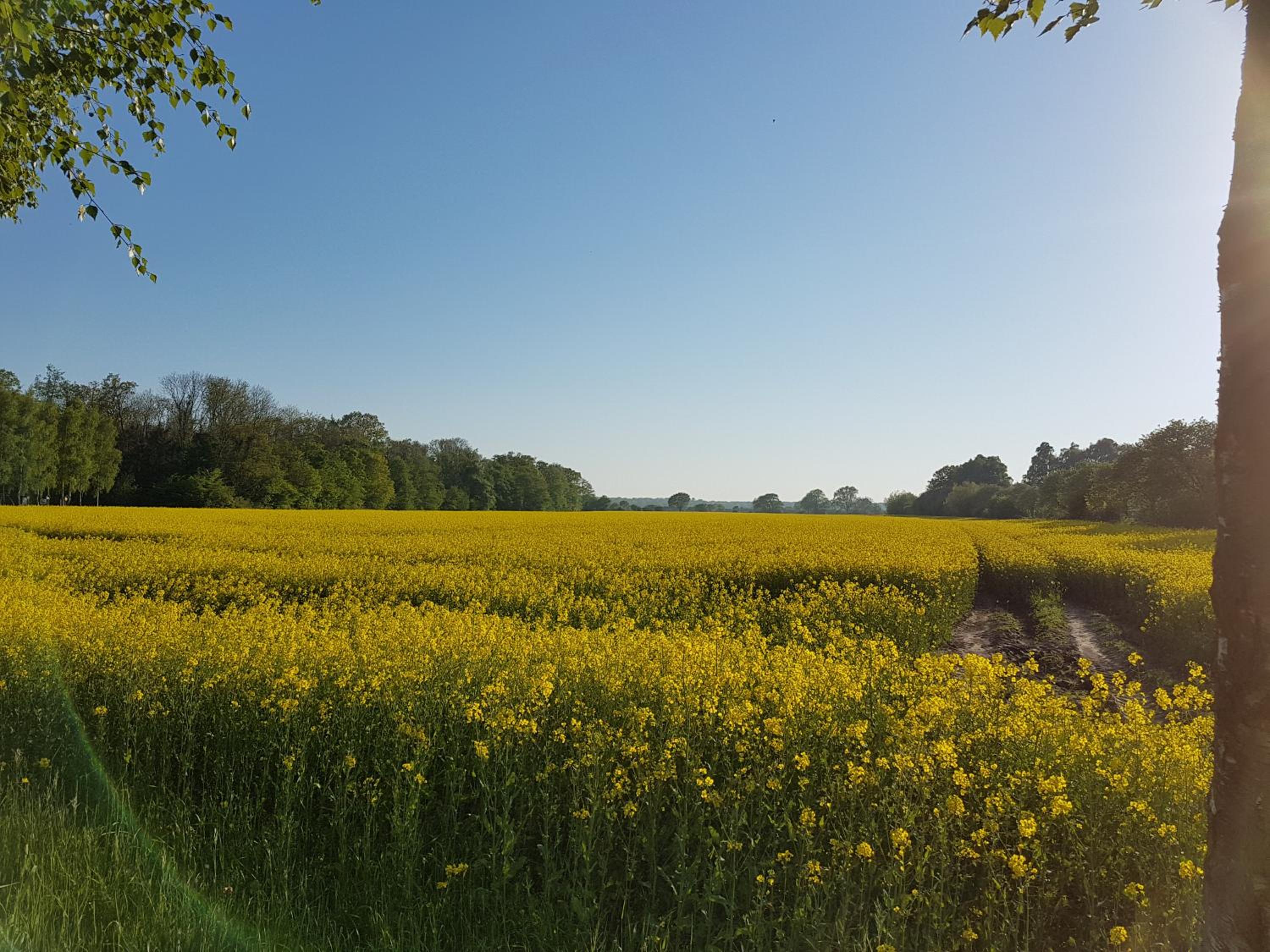 Ferienwohnanlage Majorcas