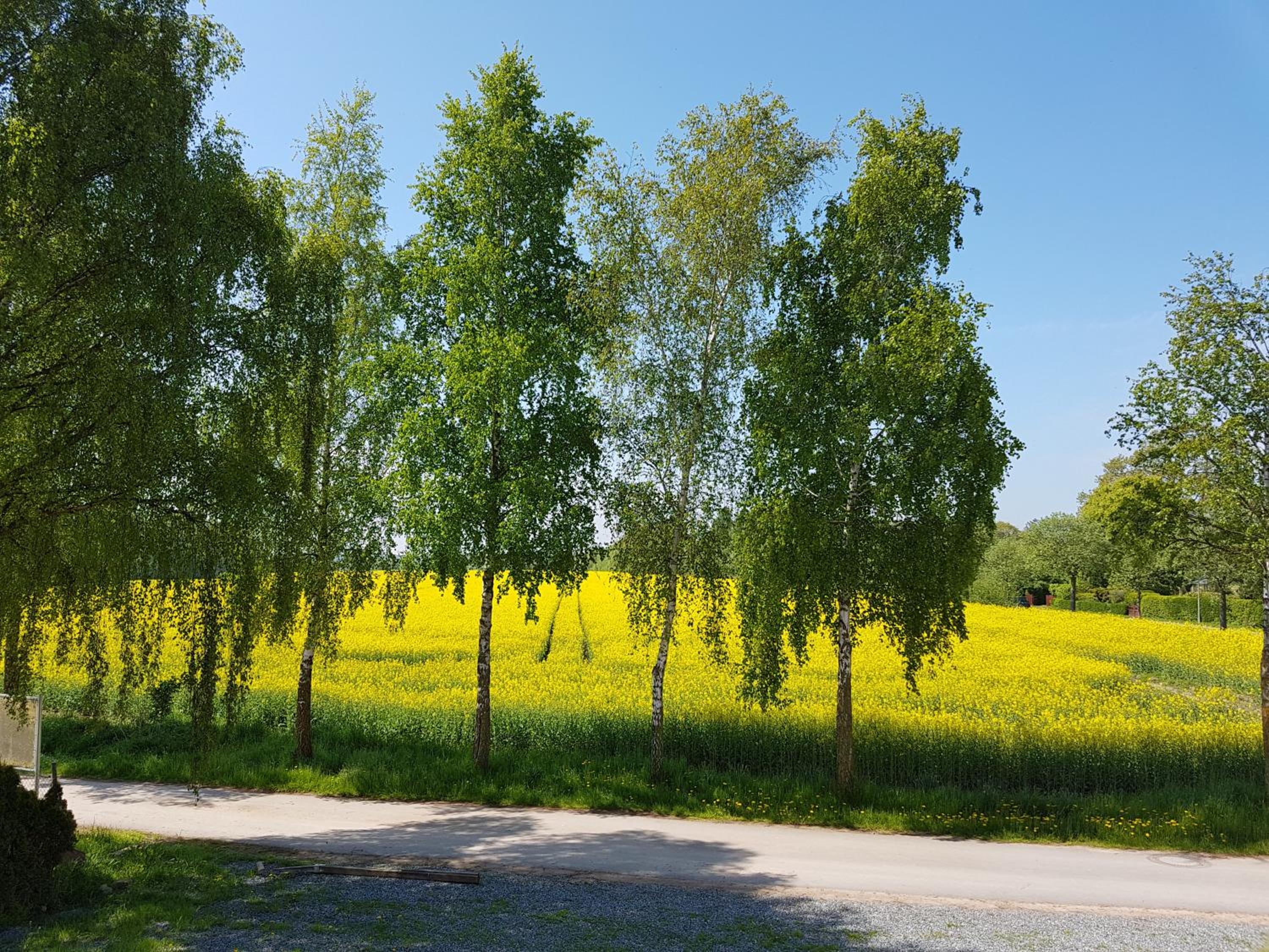 Ferienwohnanlage Majorcas