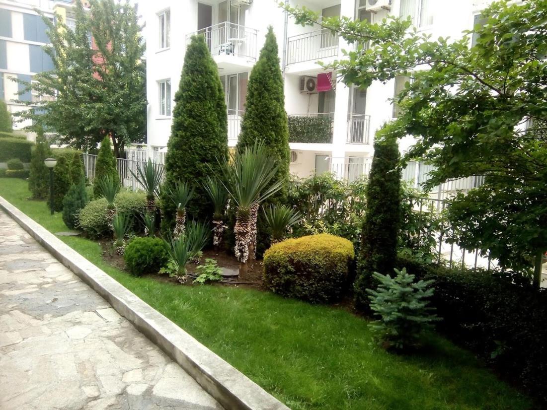 Studios in Complex Elit 4 view 5