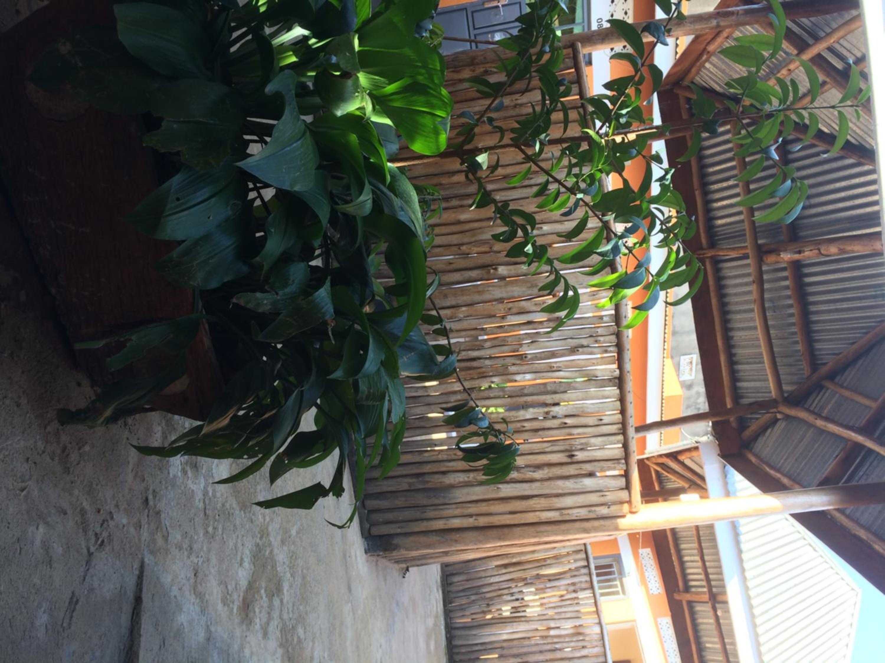 Suba Motel, photo 10