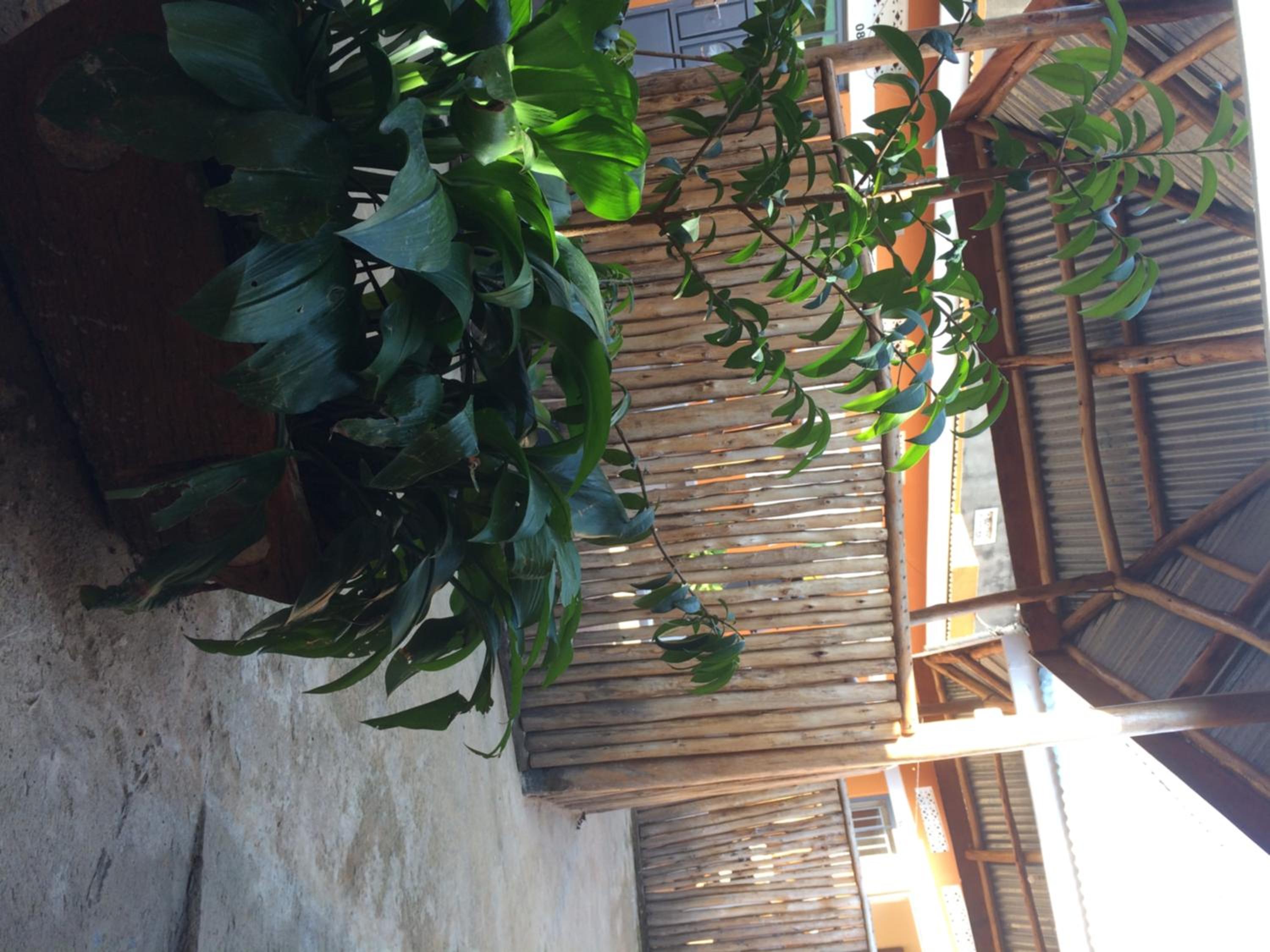 Suba Motel, photo 31