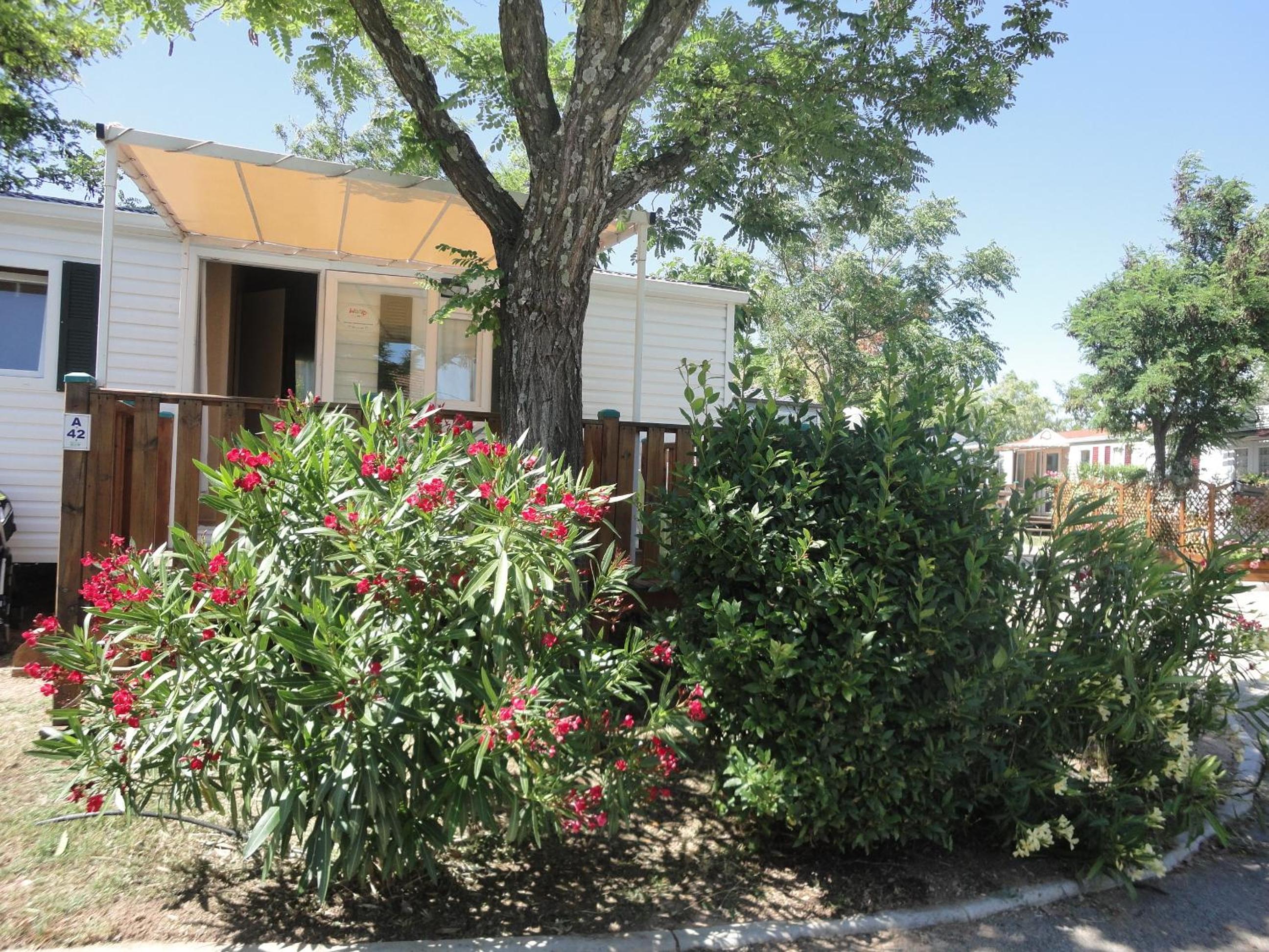 Frejus Vacations - Camping les Acacias - Property Image 20