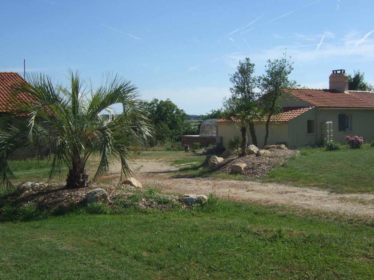 Photo 12