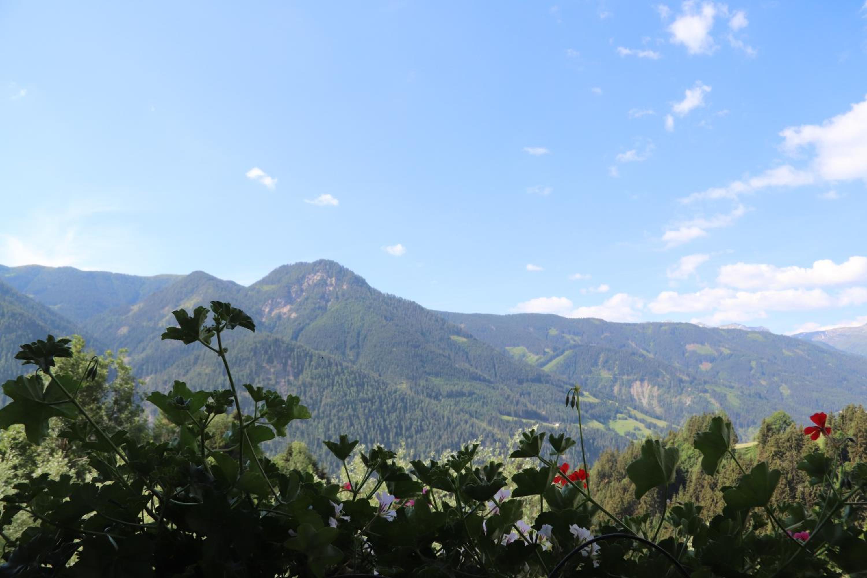 Pension Bichlgeiger