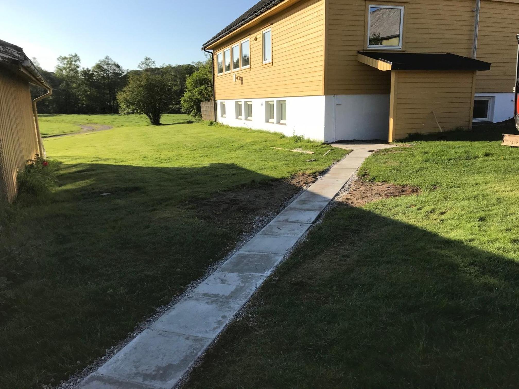 Photo 6