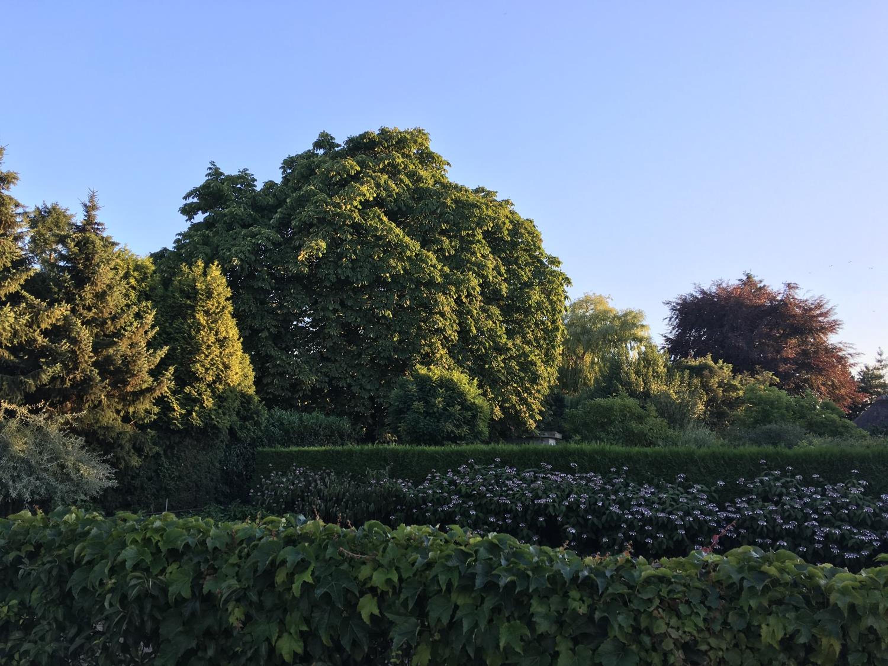 La Nuova Casa del Campo (vh De Kamp) - Property Image 35