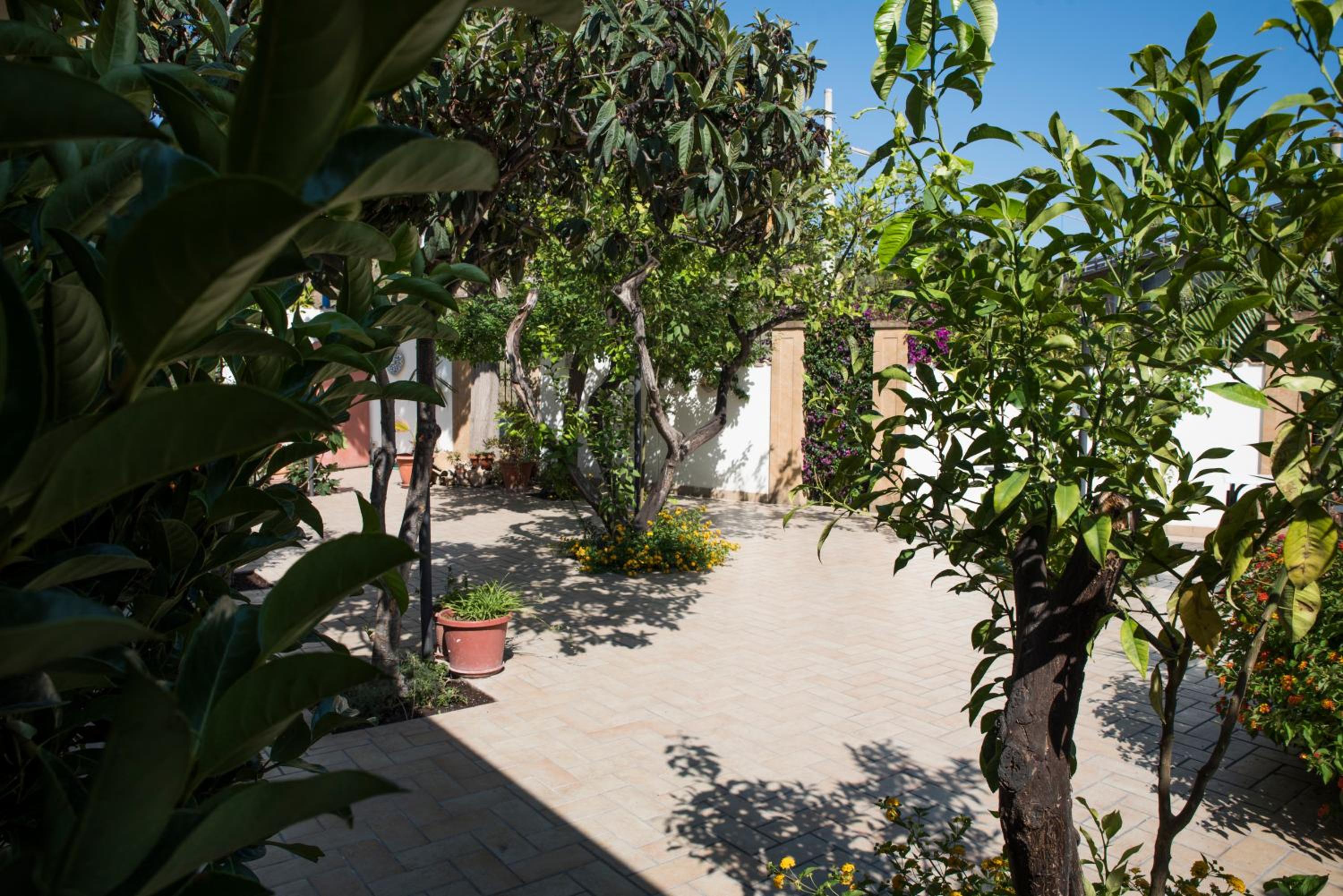 L'Albero