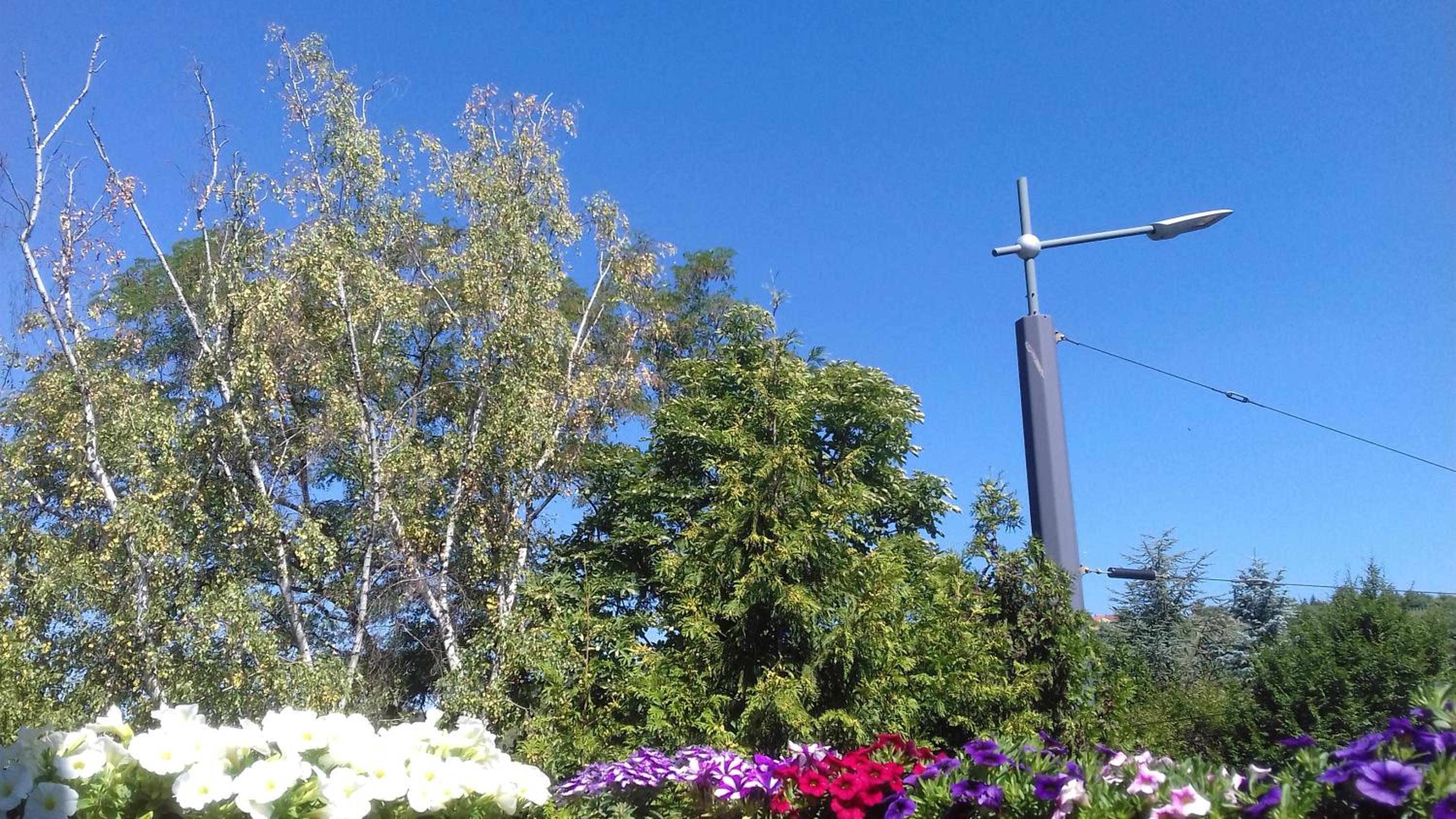 Photo 31