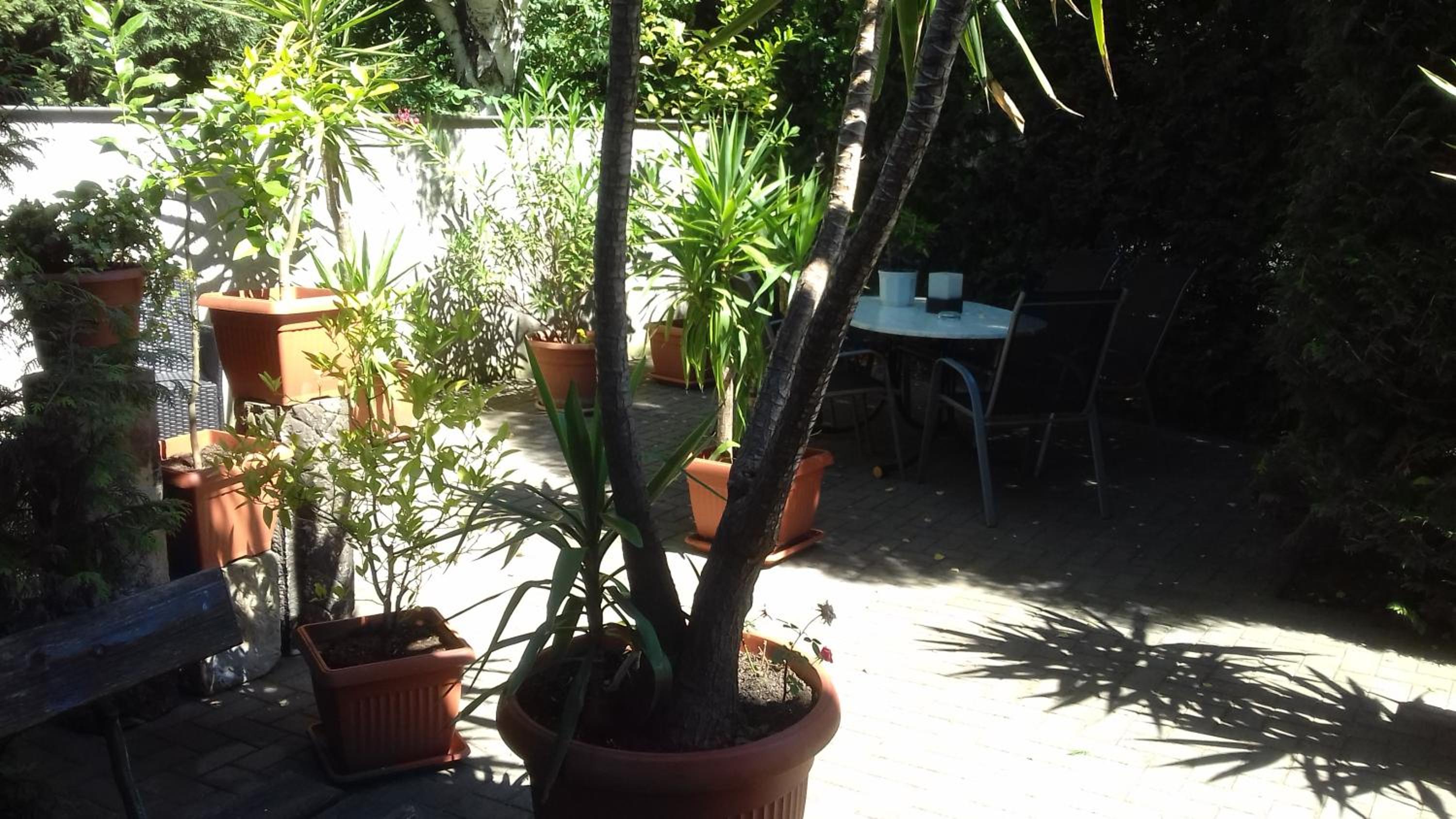 Photo 29