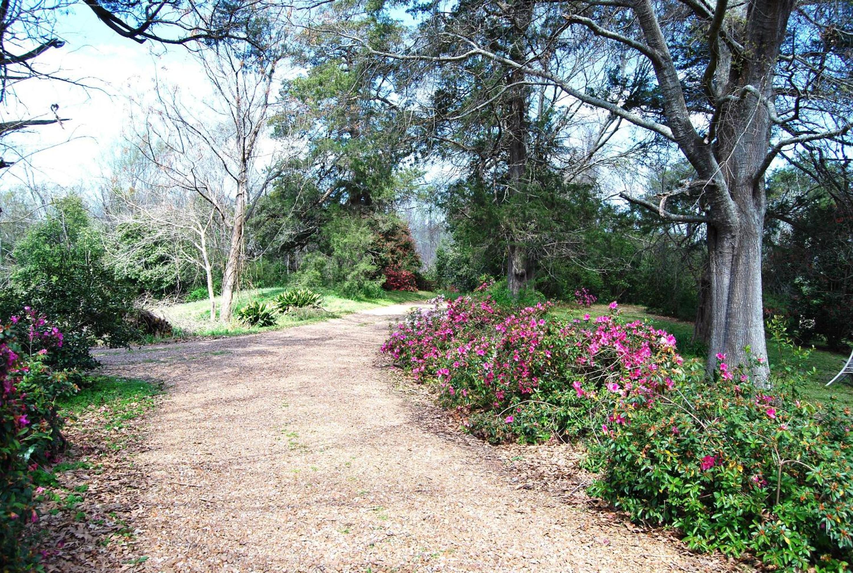 Natchez Vacations - Glenfield Plantation Historic Antebellum Bed and Breakfast - Property Image 28