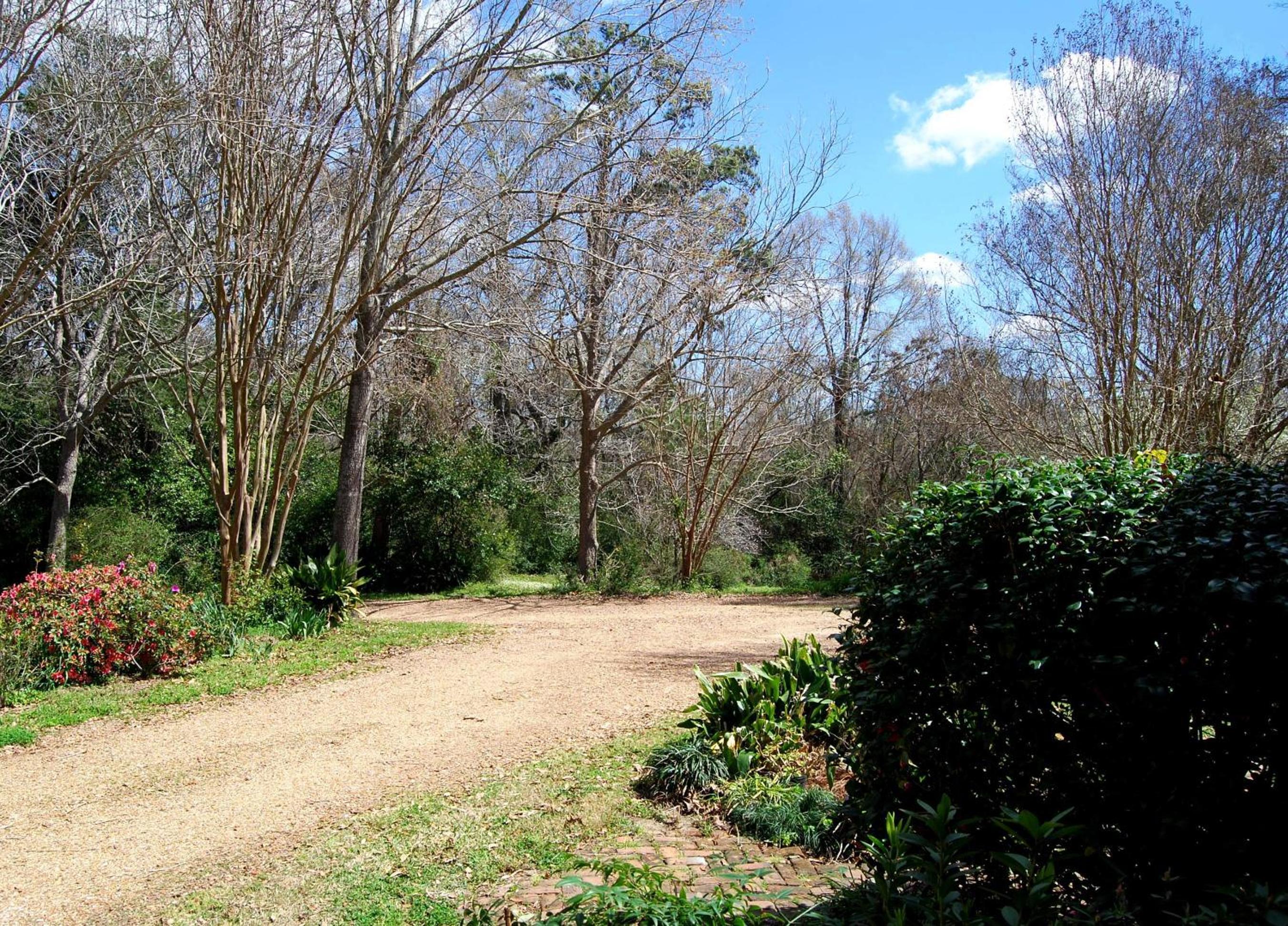Natchez Vacations - Glenfield Plantation Historic Antebellum Bed and Breakfast - Property Image 29
