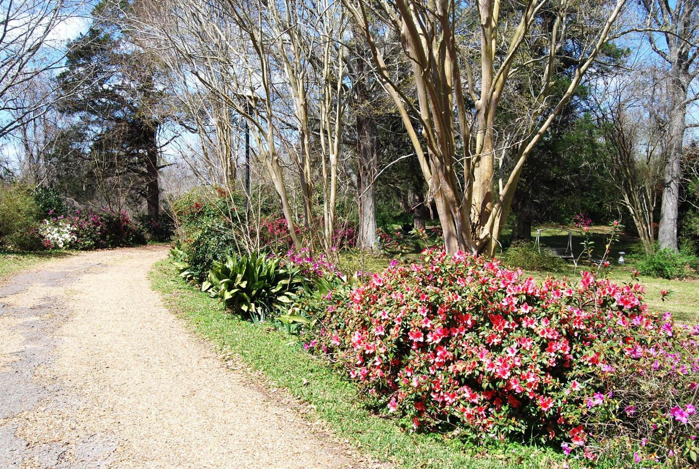 Natchez Vacations - Glenfield Plantation Historic Antebellum Bed and Breakfast - Property Image 30
