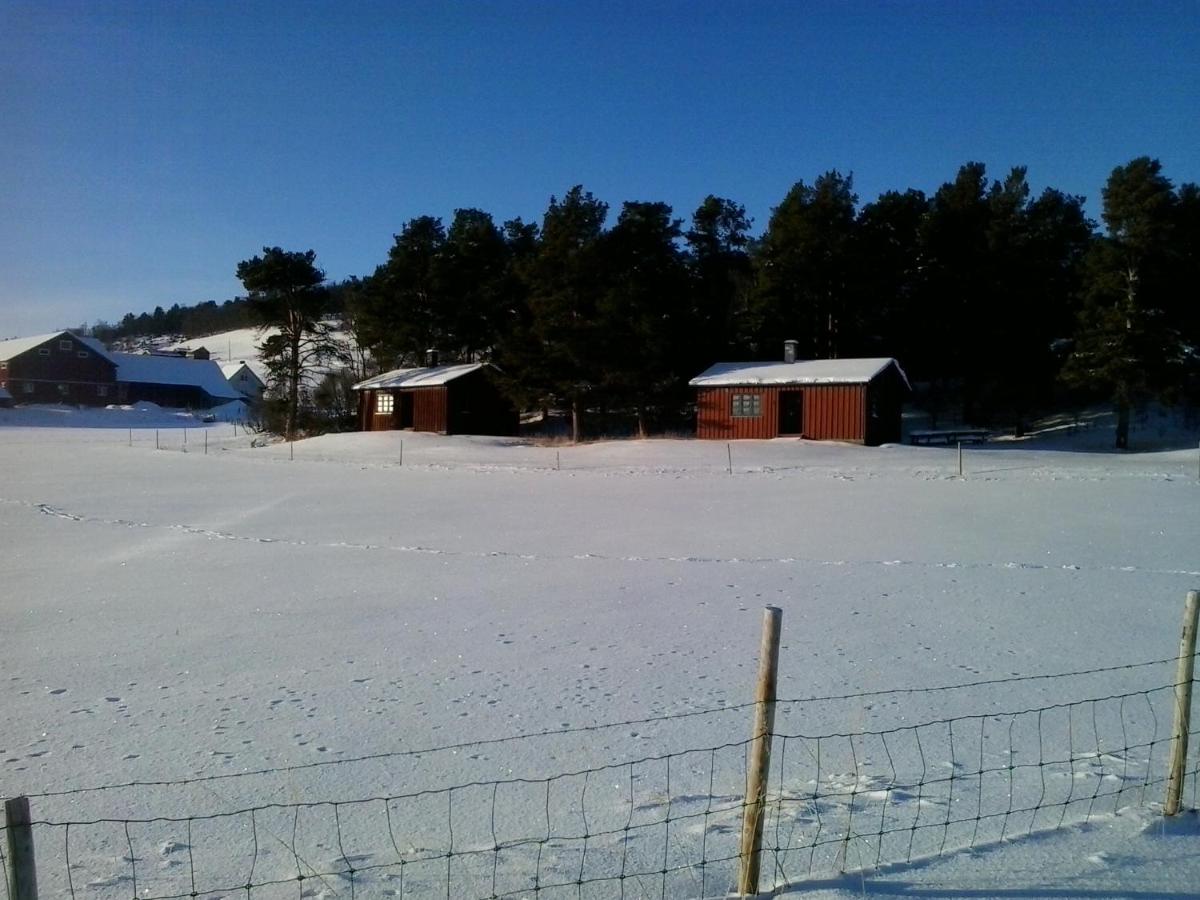 Photo 12