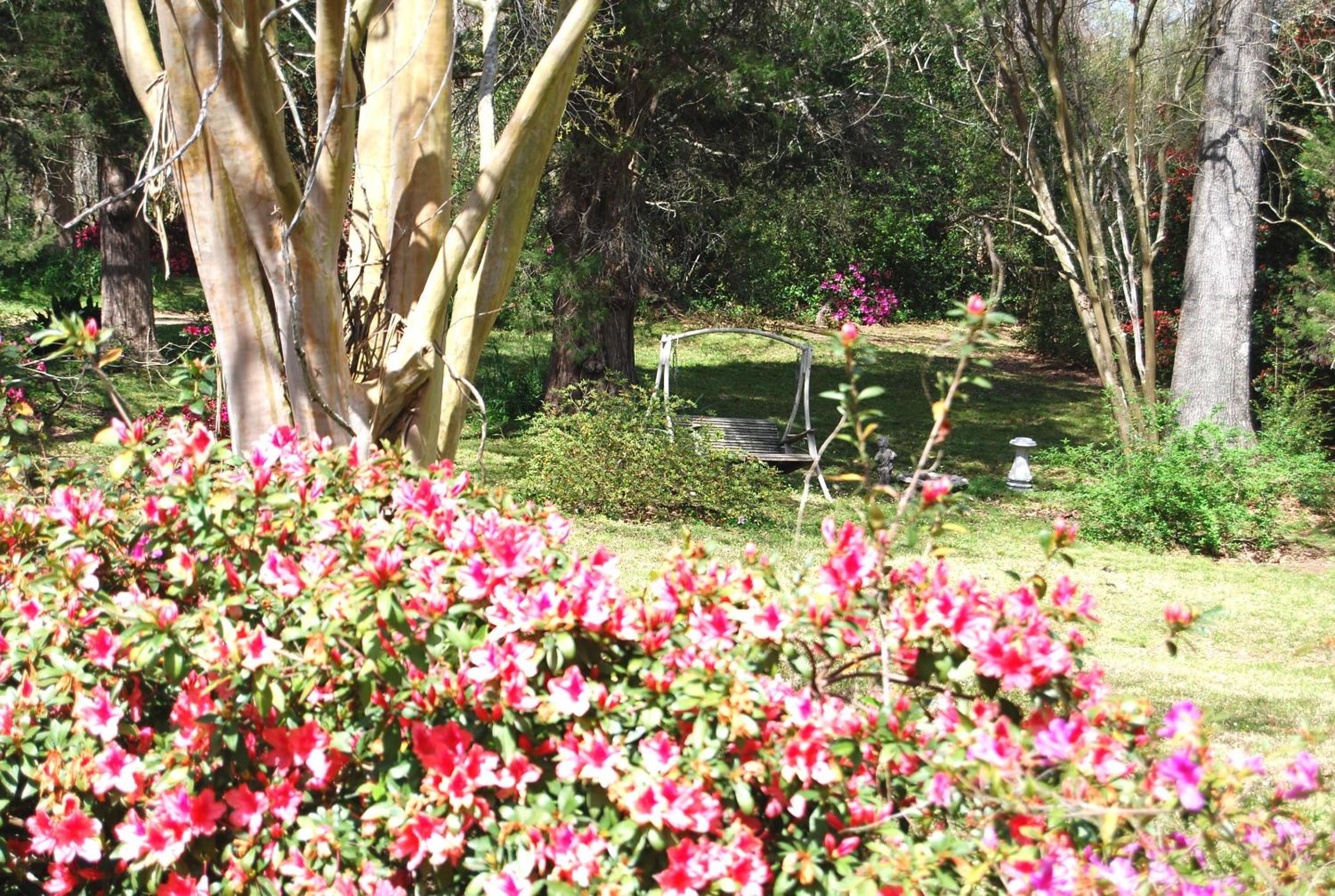 Natchez Vacations - Glenfield Plantation Historic Antebellum Bed and Breakfast - Property Image 31