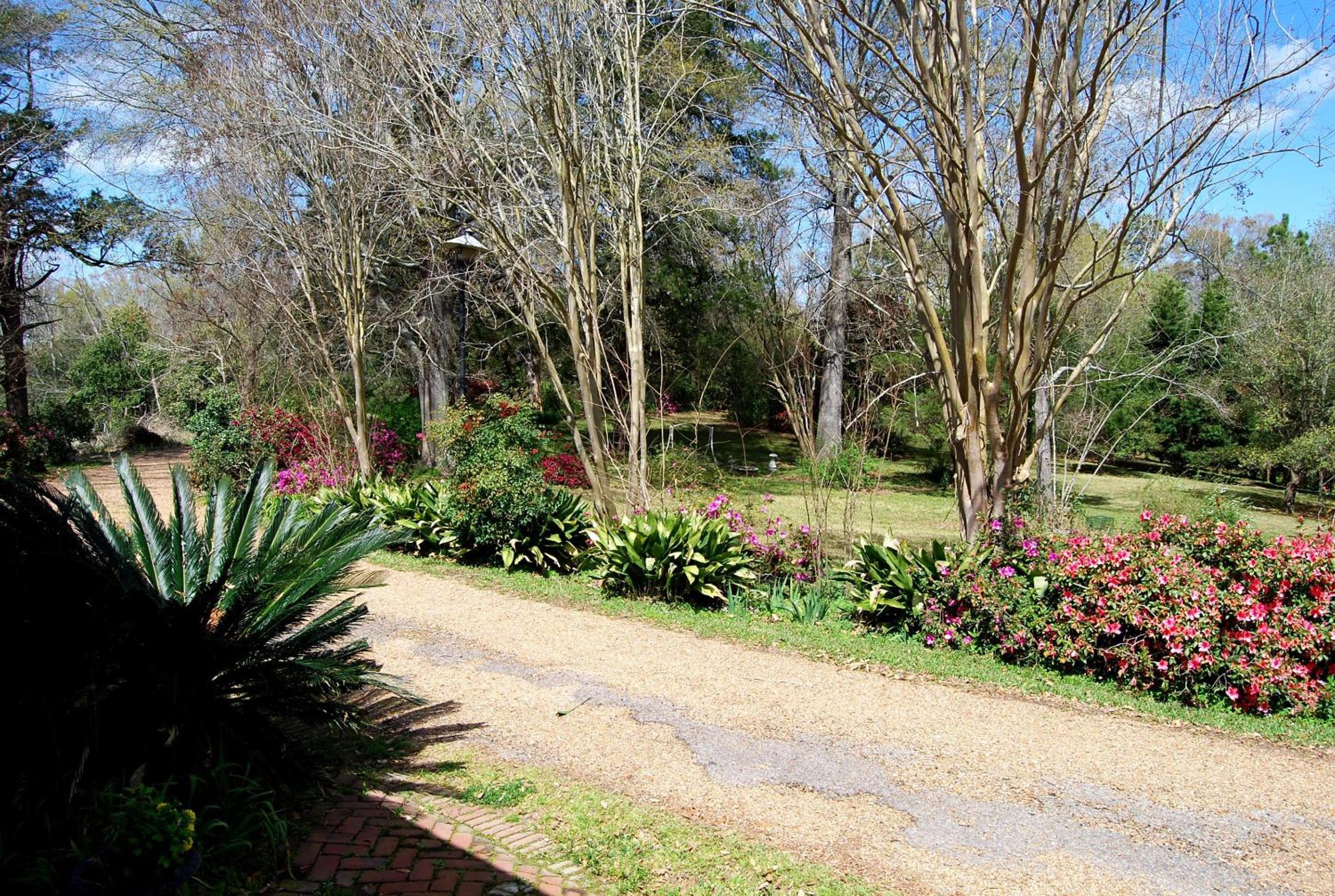 Natchez Vacations - Glenfield Plantation Historic Antebellum Bed and Breakfast - Property Image 23