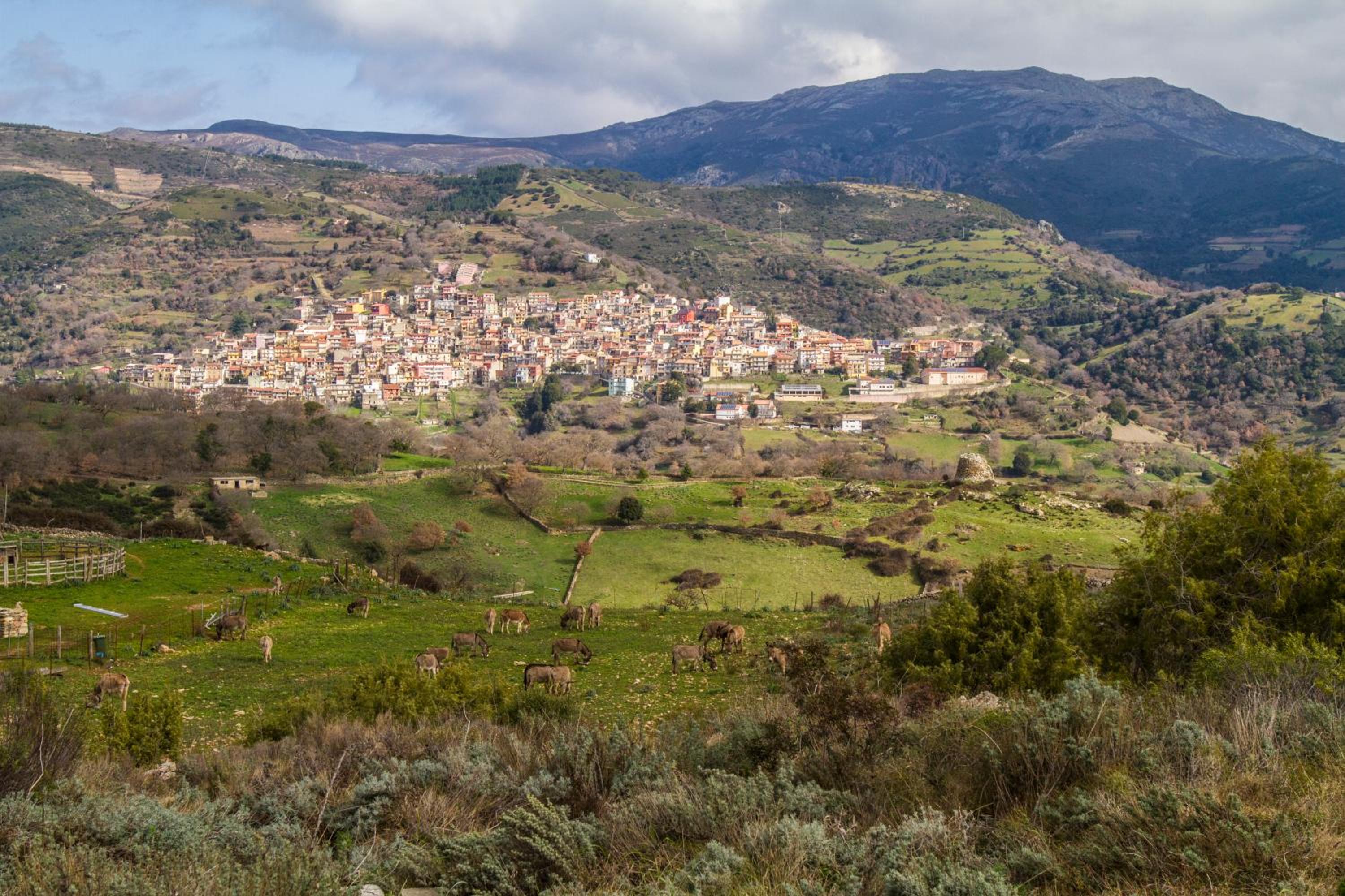 Lugori