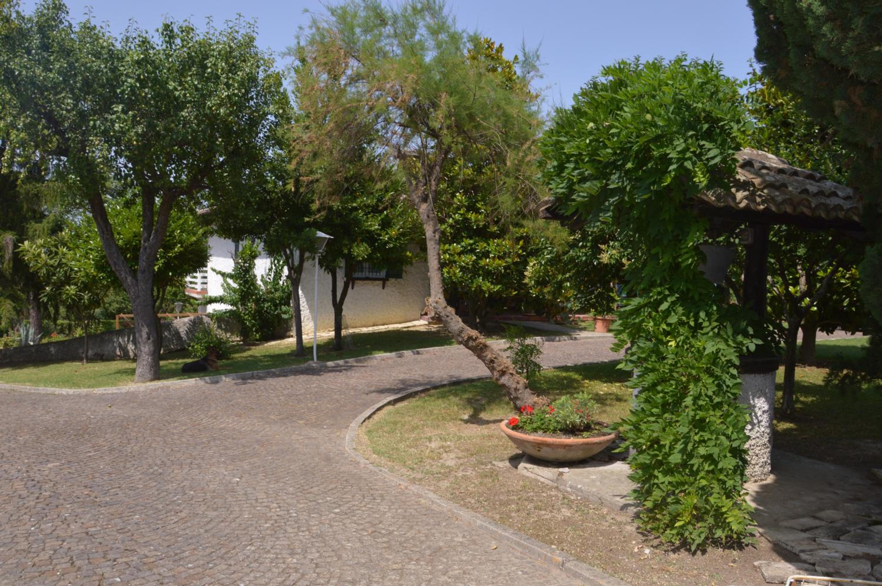 Photo 42