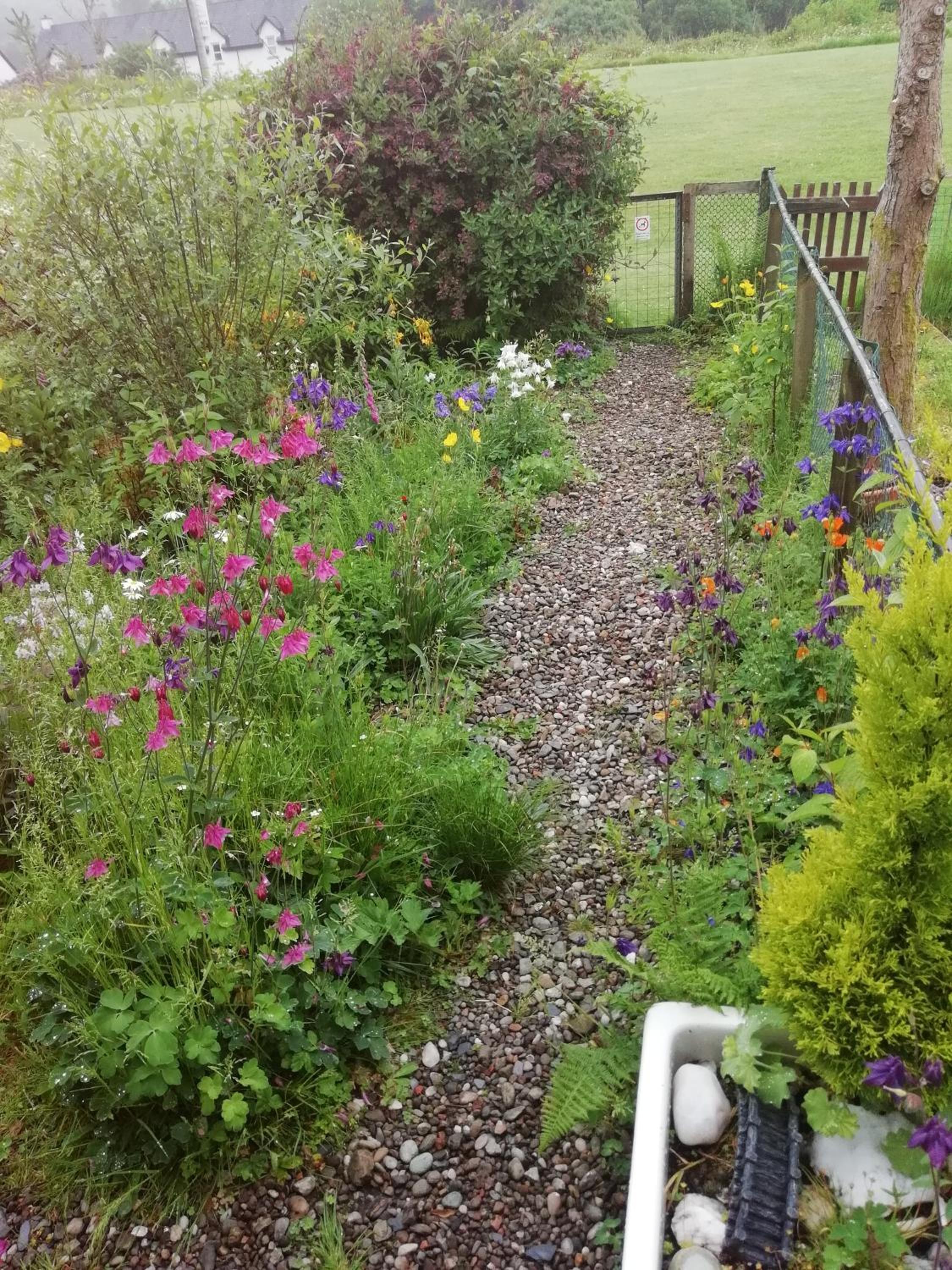 Crinan Canal Cottage No8