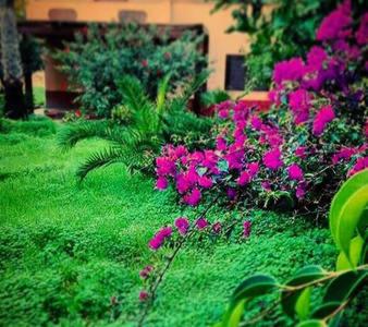 villa del melograno photo 2