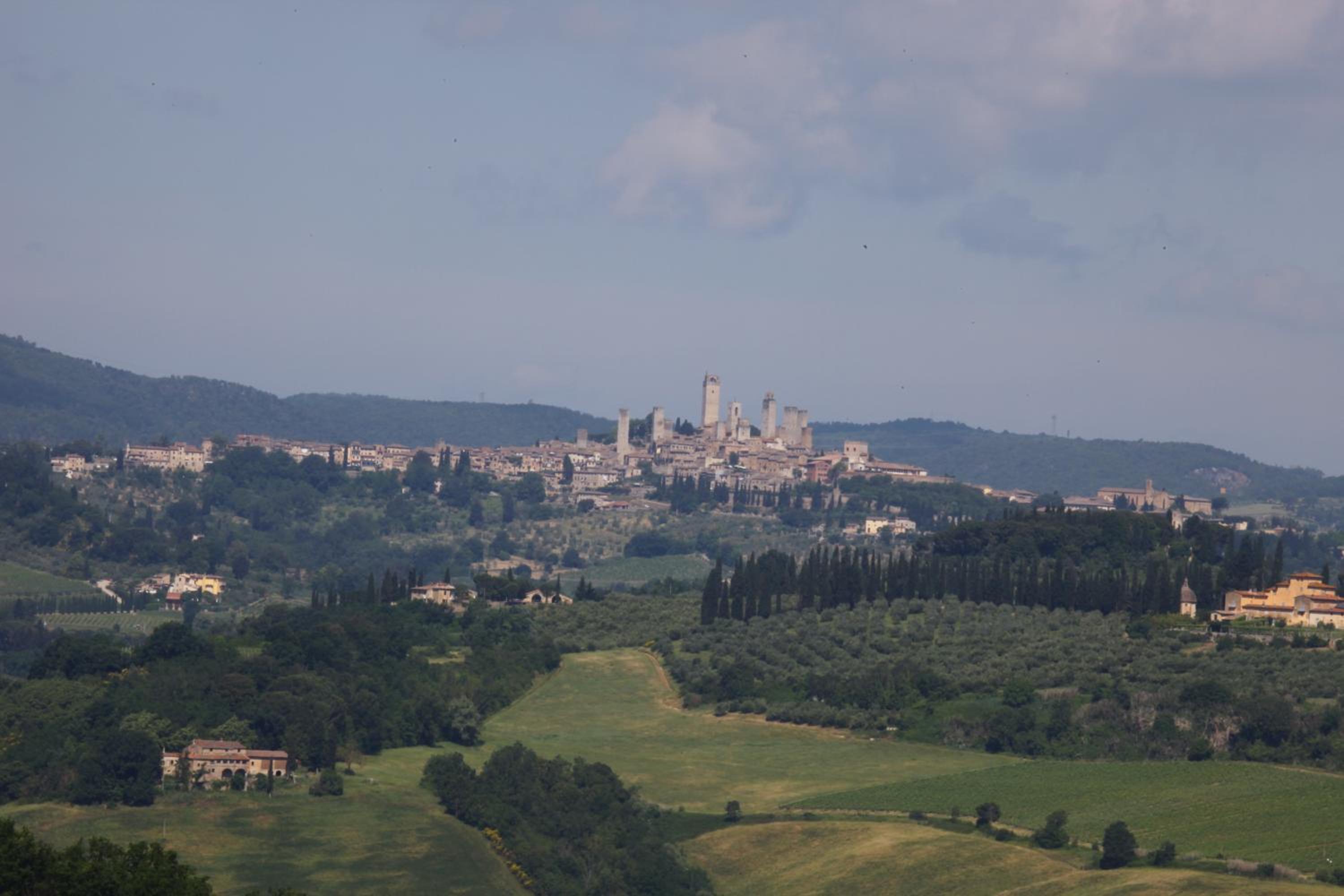 Podere Il Pino view 4