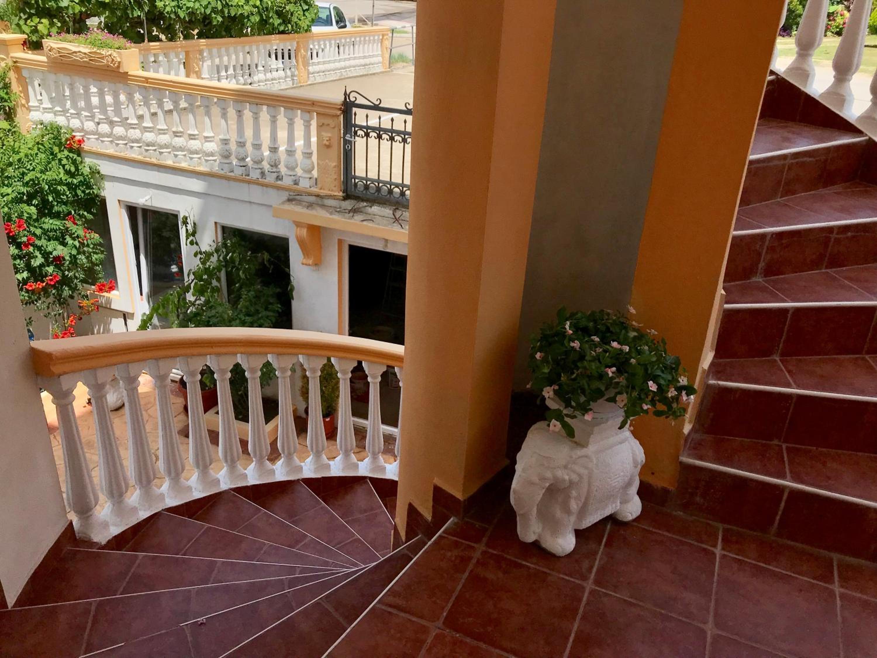 Apartments Delfin