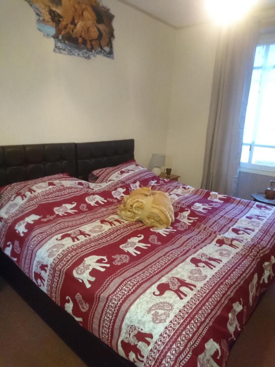 Photo 19