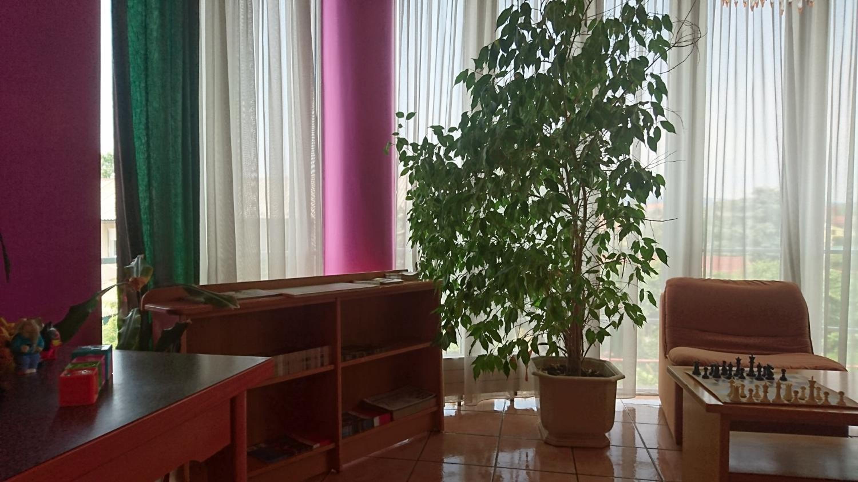 Photo 16