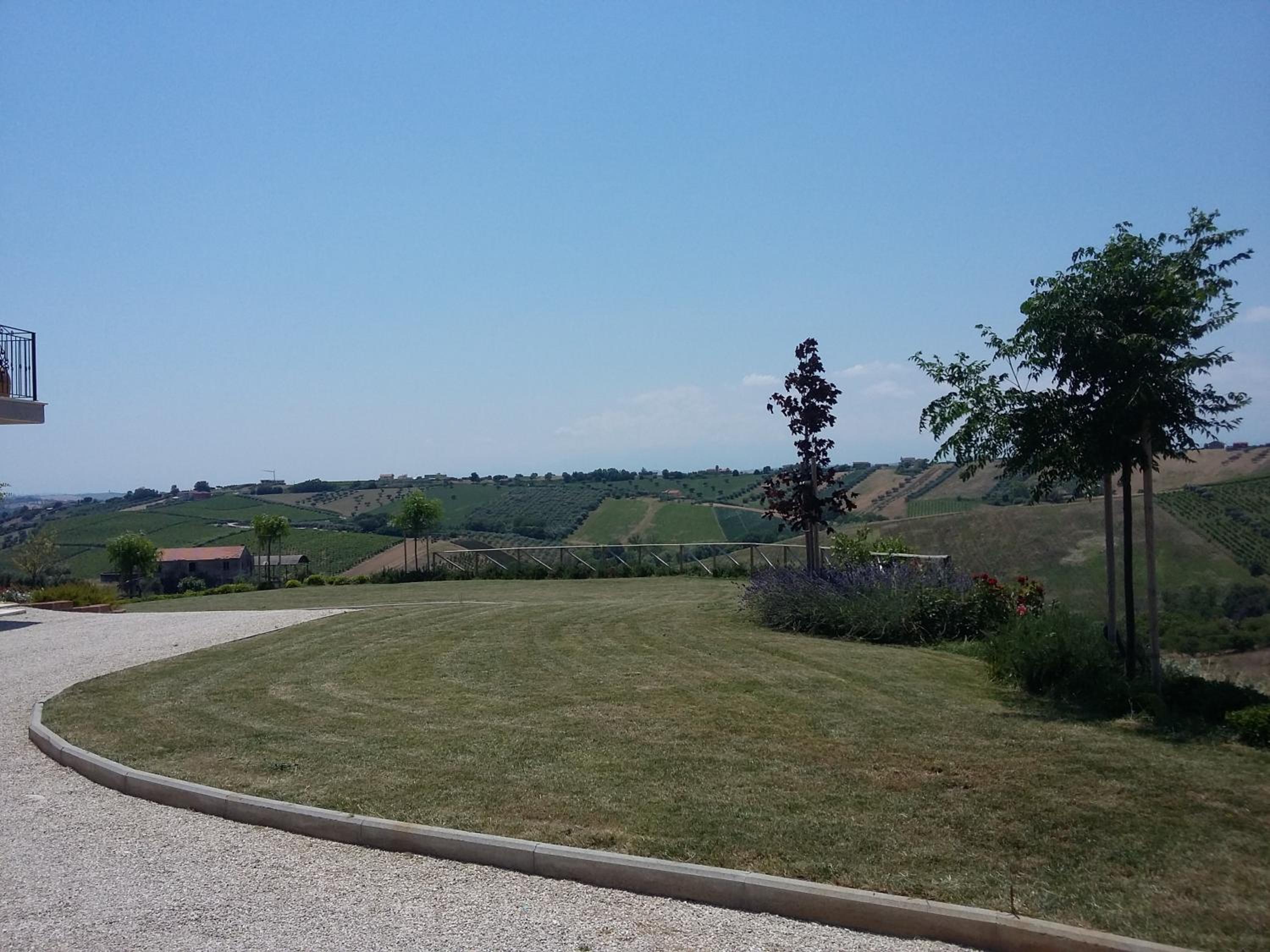 Photo 16