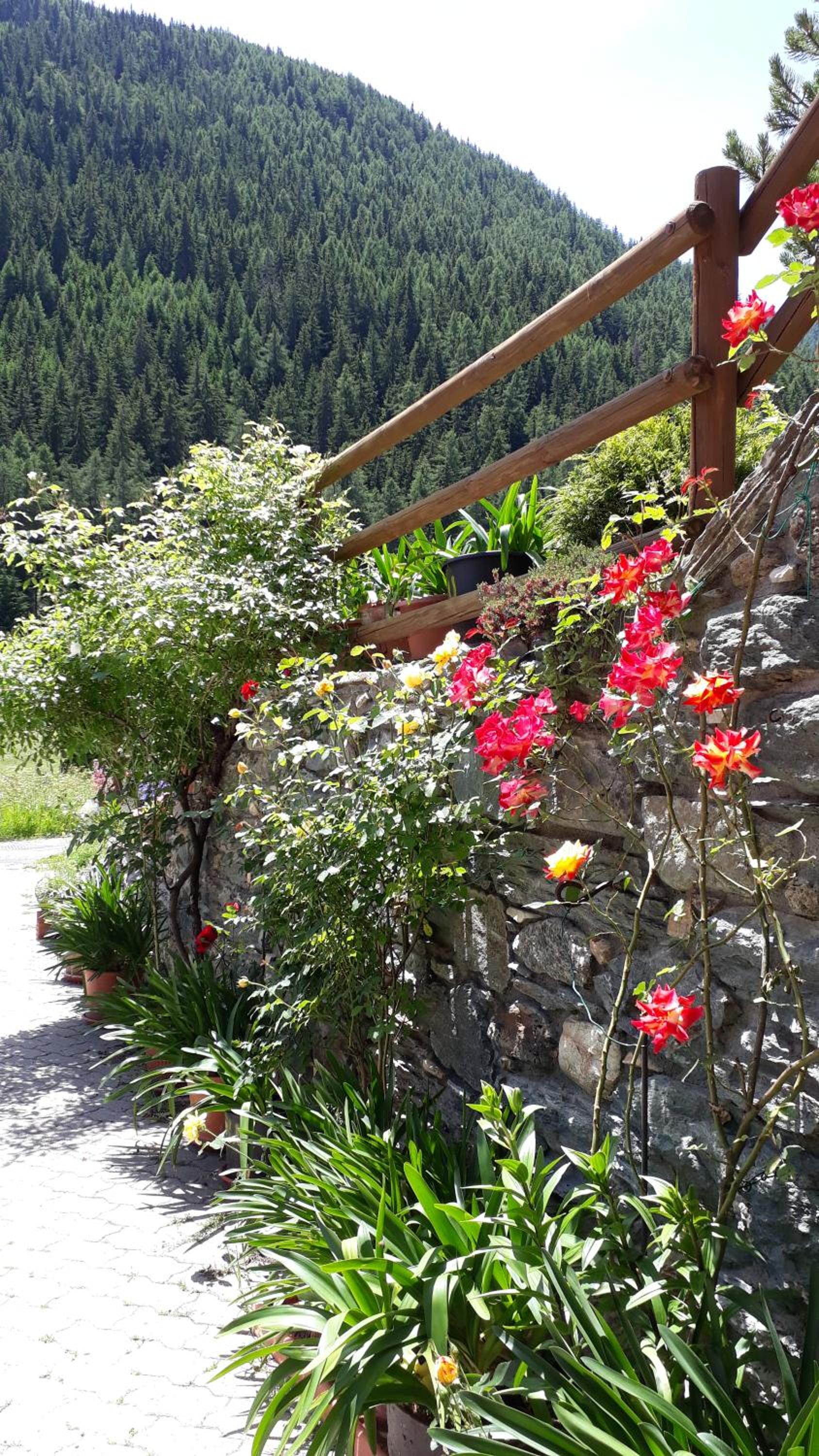 Appartamenti Là-Haut