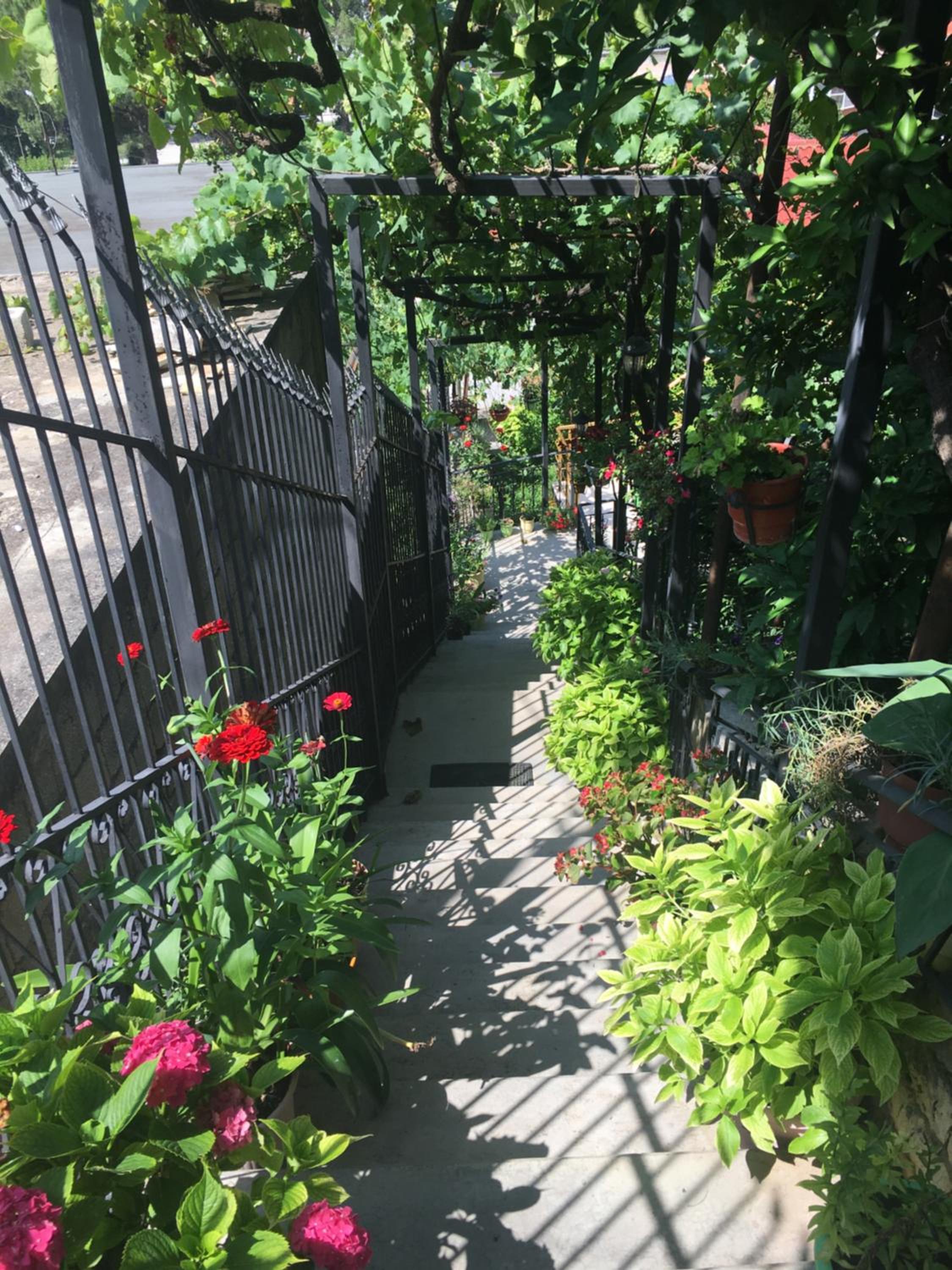 Sara Guesthouse