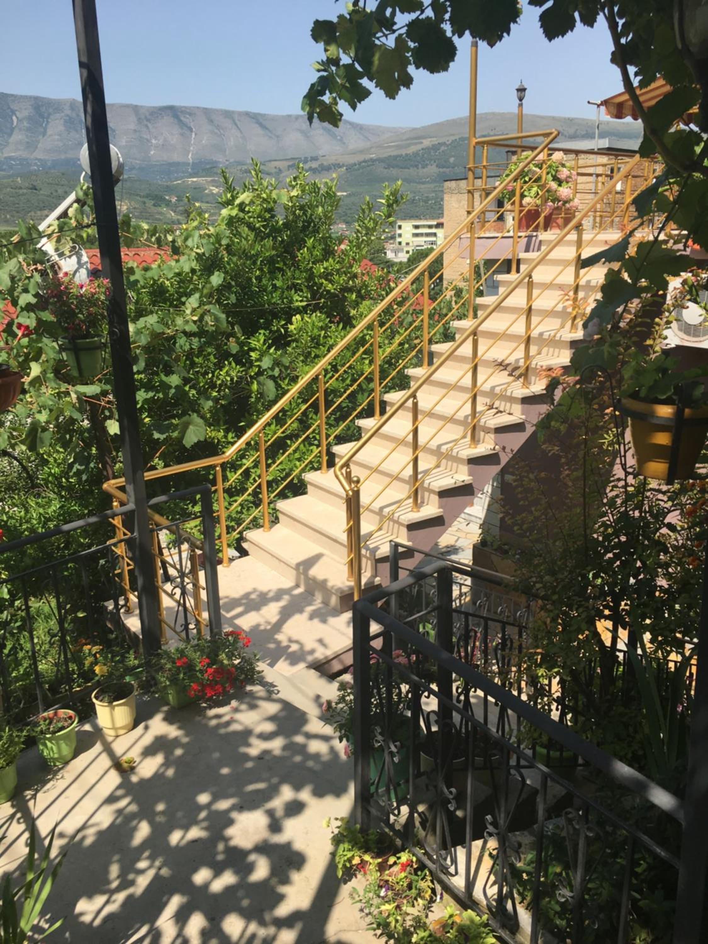 Sara Guesthouse
