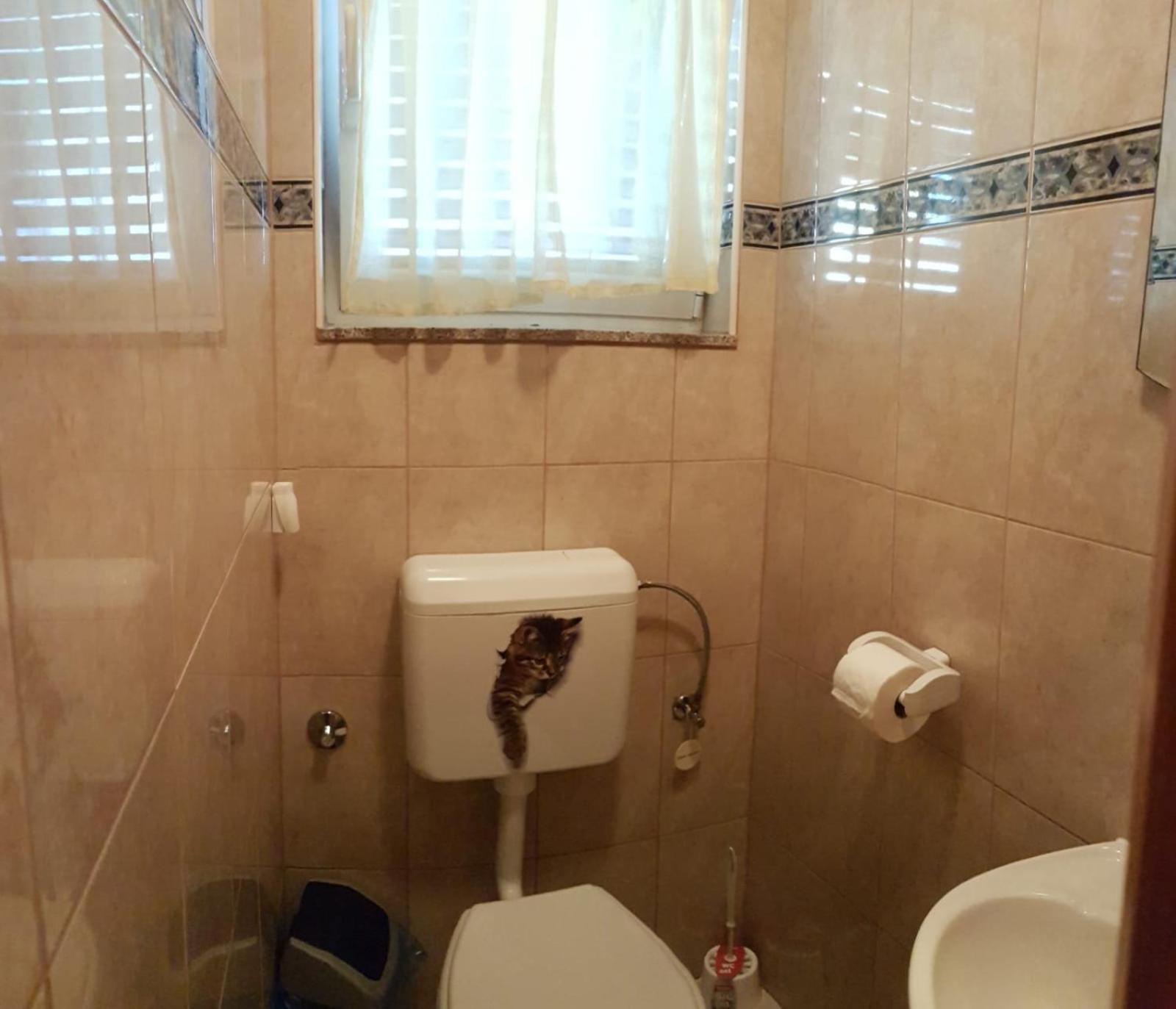 Apartman Leon