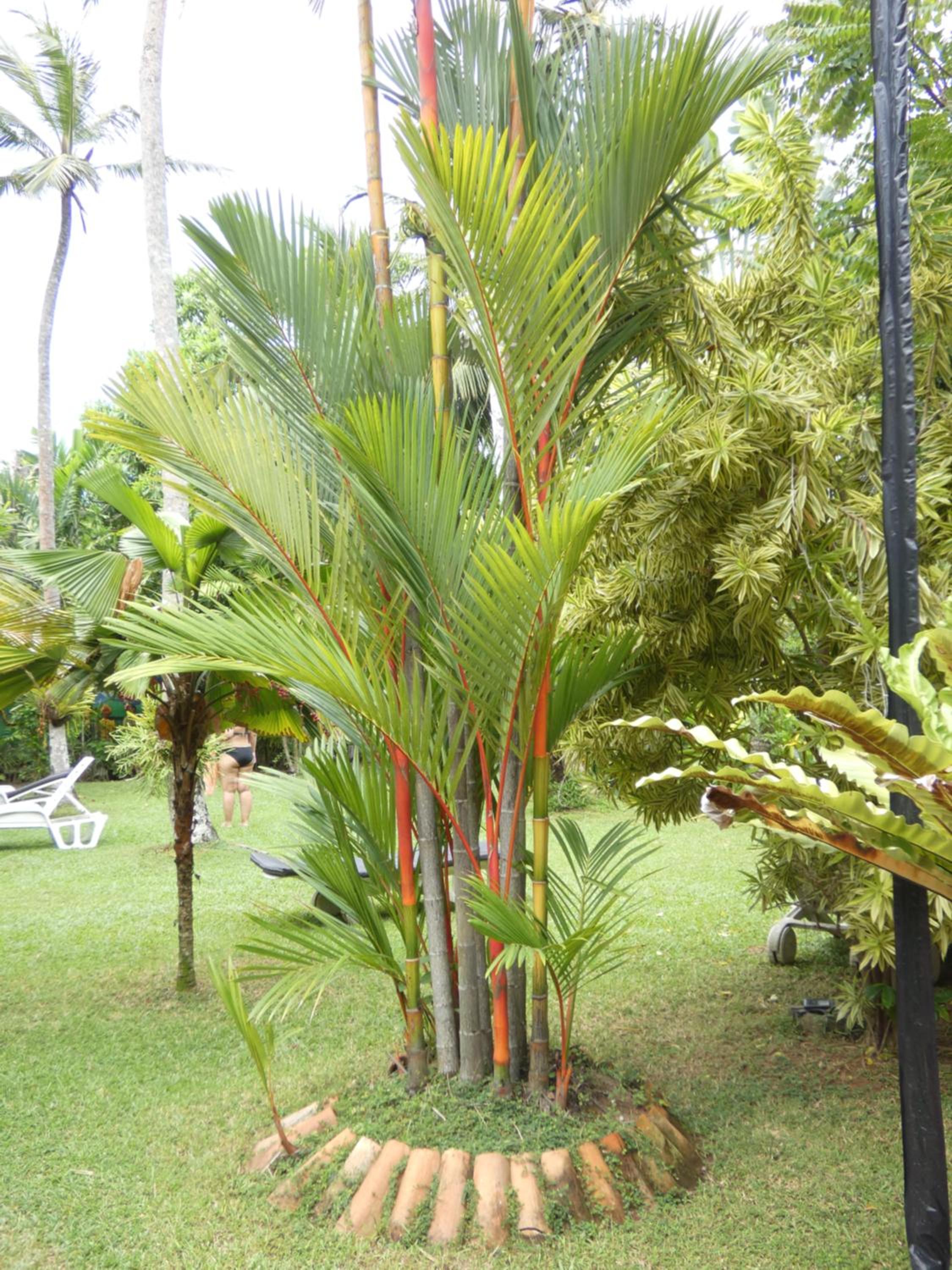 Pahalage Guesthouse