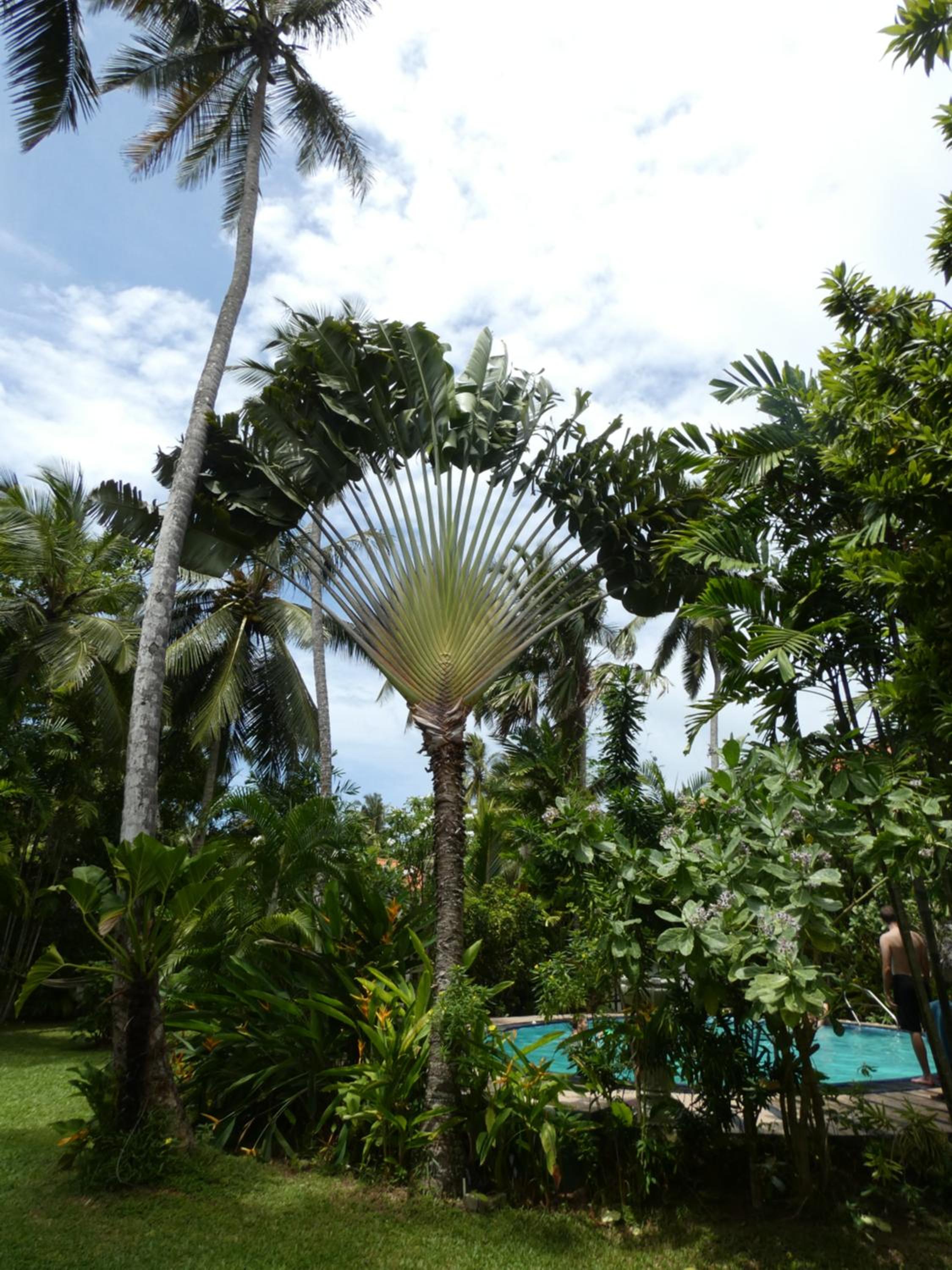 Pahalage Guesthouse